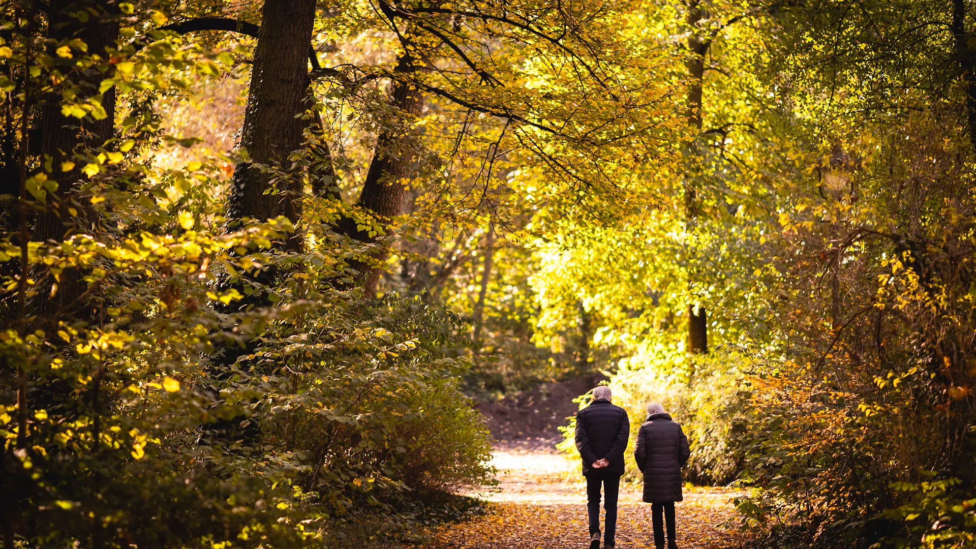Ein Senior und eine Seniorin machen in der morgendlichen Sonne einen Spaziergang durch einen Park, aufgenommen in Berlin, 20.10.2025.
