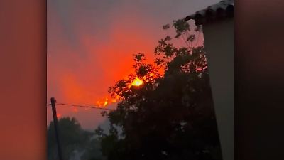 Bild von Heftige Waldbrände in Urlaubsregion – deutsche Touristen fliehen vor den Flammen!