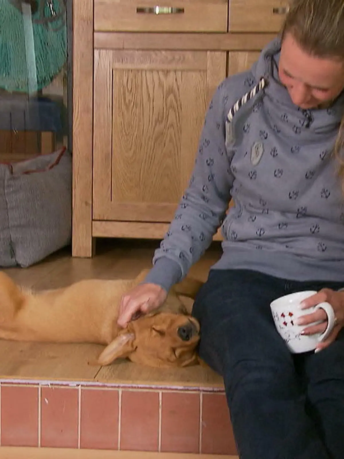 Bild zu: "Hund hilft Frau mit Tinnitus"