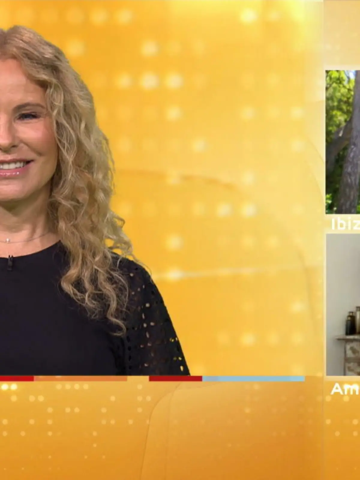 Bild zu: "1. virtuelles Aufeinandertreffen der Supertalent-Juroren"