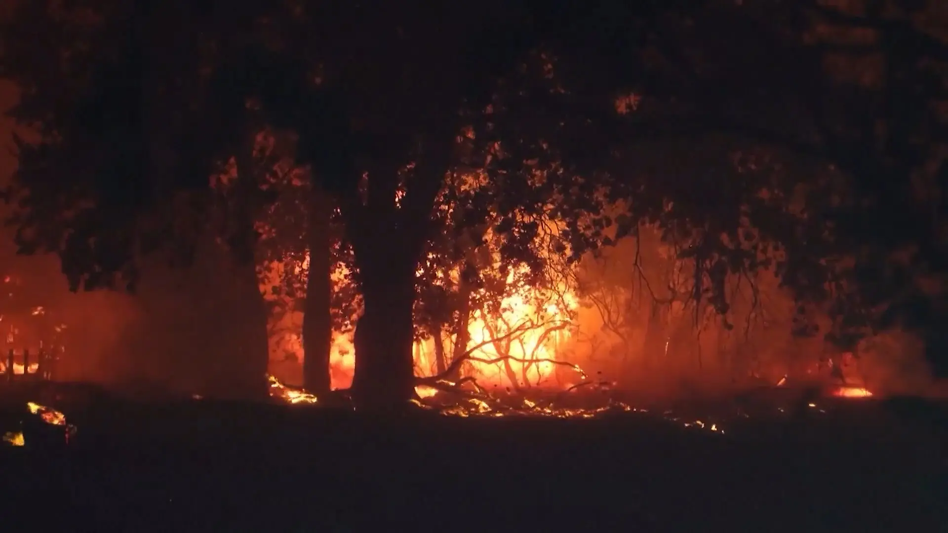 Bild von Waldbrandkatastrophe in Spanien und Frankreich