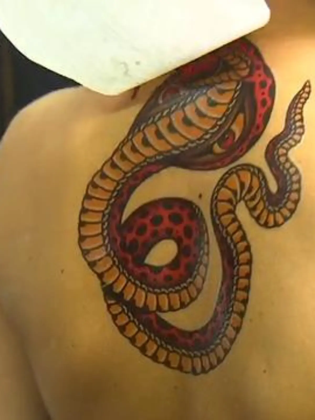 Wie würde ein Tattoo an mir aussehen? Auf dem Arm, dem Handgelenk oder am Rücken? Wer die Körperkunst einfach gern ausprobieren und auf die schmerzhafte Nadel verzichten möchte, ist bei „Tatyou“ aus Kassel genau richtig. Im April 2020 eröffnen Boris Boxan und Robert Köster ihren Onlineshop für Klebetattoos bekannter Künstler aus der Region. Sie wollen sich auf den Markt in Deutschland beschränken und schauen, wie die Idee ankommt. Dass dann doch alles anders kommt, erzählen sie uns im Video.