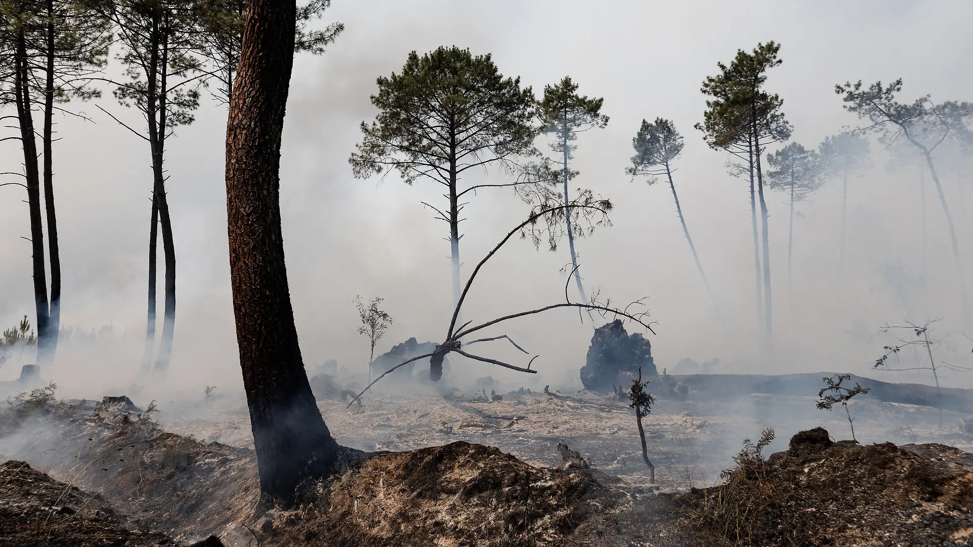 The forest on fire near Le Porge, July 24, 2026. Firefighters work to extinguish buildings and homes engulfed in flames in Le Porge, southwestern France, on July 24, 2026. Emergency crews were deployed to combat the fire, protect surrounding properties, and prevent the blaze from spreading as operations continued.//GARCIASOPHIE_sipa.13193/Credit:Sophie Garcia/SIPA/2607250504