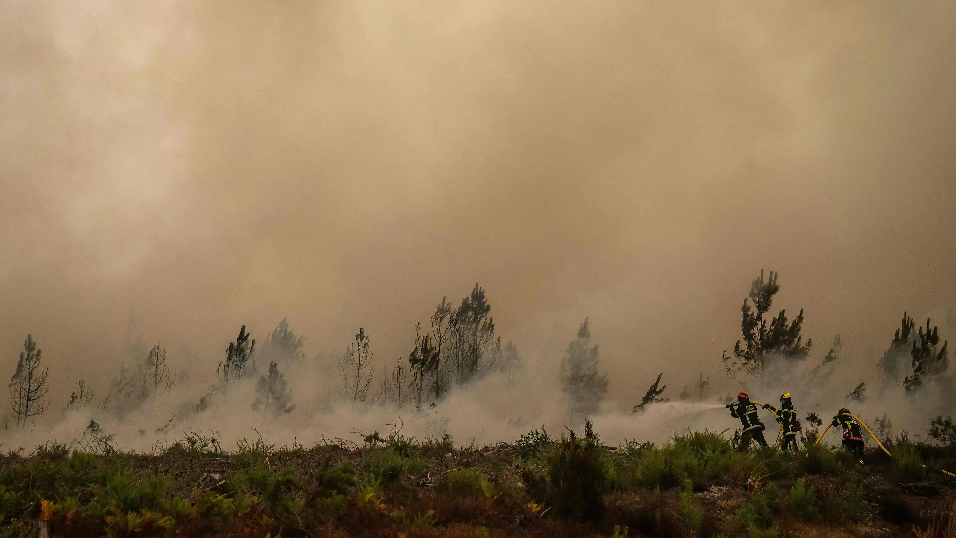 Feuerwehrleute spritzen bei einem Waldbrand in der Nähe der Stadt Lege-Cap-Feret im Südwesten Frankreichs Wasser. Am 25. Juli 2026 wüten in Frankreich und Spanien Waldbrände; fast 260.000 Menschen wurden in der Nähe der französischen Großstadt Bordeaux und in der Region Madrid in Sicherheit gebracht, einer Metropole, die mit dem „schlimmsten“ Waldbrand ihrer Geschichte konfrontiert ist. Wissenschaftler warnen schon seit Langem davor, dass der durch den Verbrauch fossiler Brennstoffe verursachte Klimawandel Dürreperioden intensiver und langanhaltender machen und damit ideale Bedingungen für Waldbrände schaffen wird. +++ dpa-Bildfunk +++