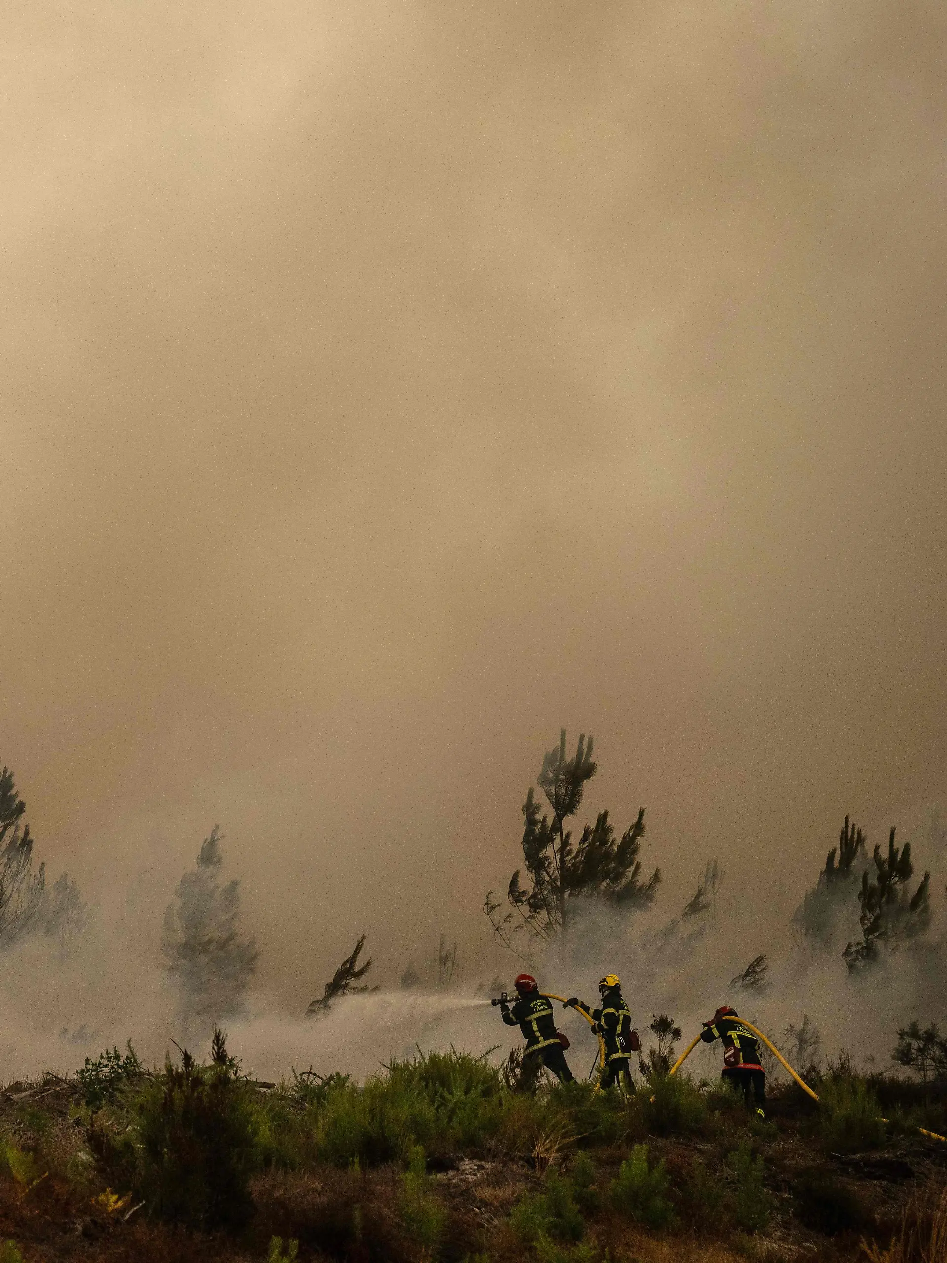 Feuerwehrleute spritzen bei einem Waldbrand in der Nähe der Stadt Lege-Cap-Feret im Südwesten Frankreichs Wasser. Am 25. Juli 2026 wüten in Frankreich und Spanien Waldbrände; fast 260.000 Menschen wurden in der Nähe der französischen Großstadt Bordeaux und in der Region Madrid in Sicherheit gebracht, einer Metropole, die mit dem „schlimmsten“ Waldbrand ihrer Geschichte konfrontiert ist. Wissenschaftler warnen schon seit Langem davor, dass der durch den Verbrauch fossiler Brennstoffe verursachte Klimawandel Dürreperioden intensiver und langanhaltender machen und damit ideale Bedingungen für Waldbrände schaffen wird. +++ dpa-Bildfunk +++