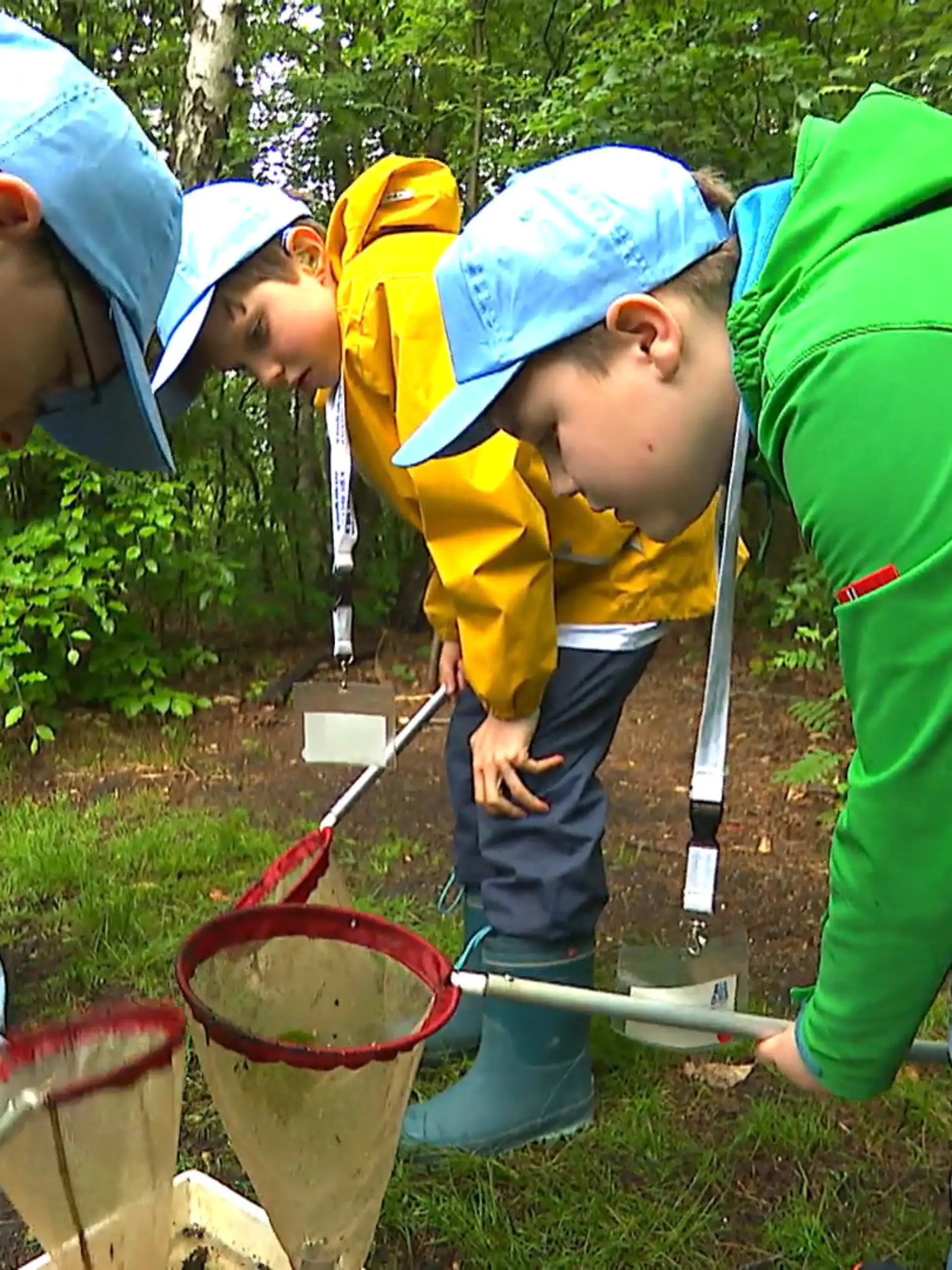 Bild zu: "Grundschulkinder werden zu "Aqua-Agenten""