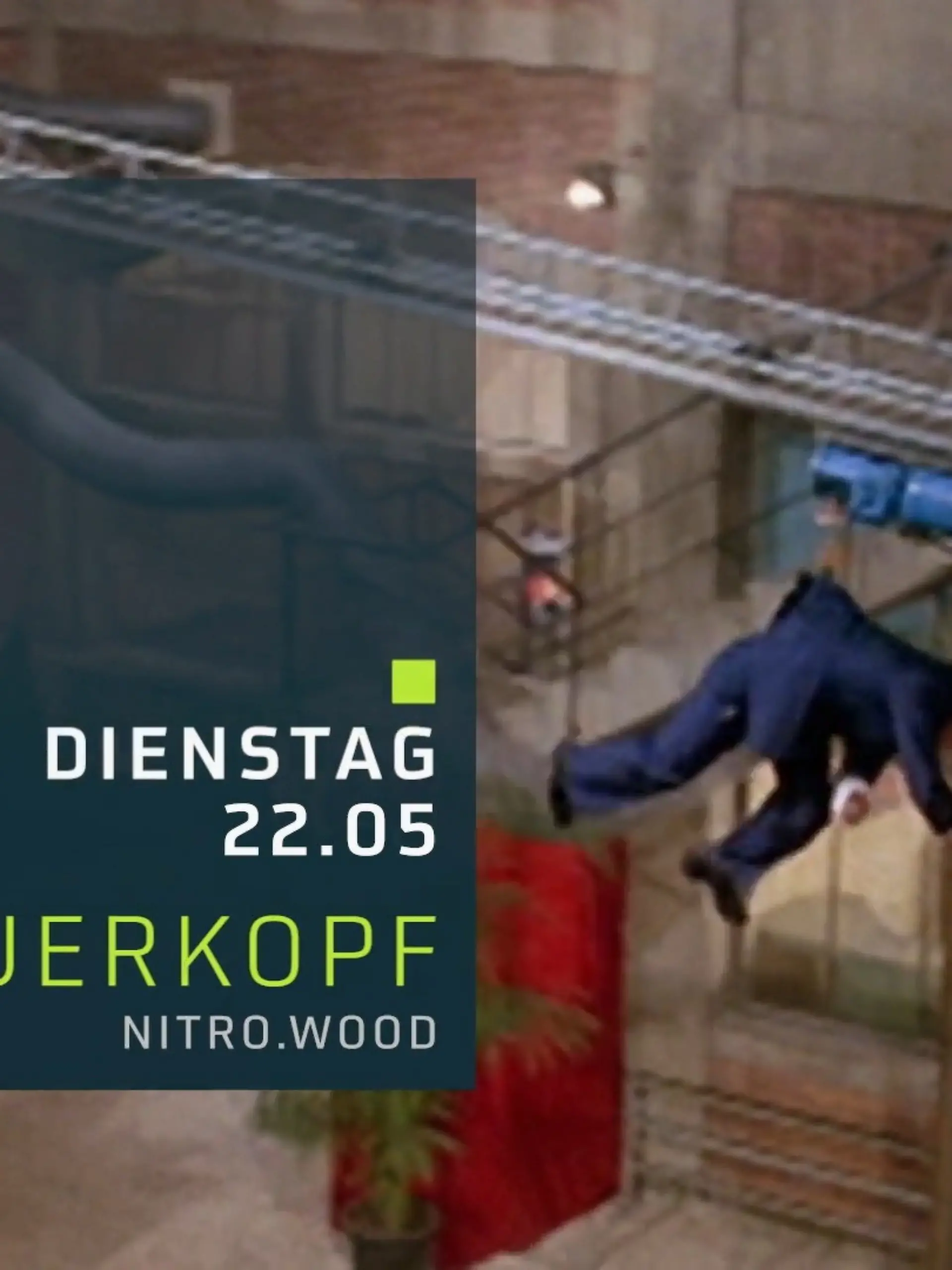 Bild zu: "Der Querkopf"