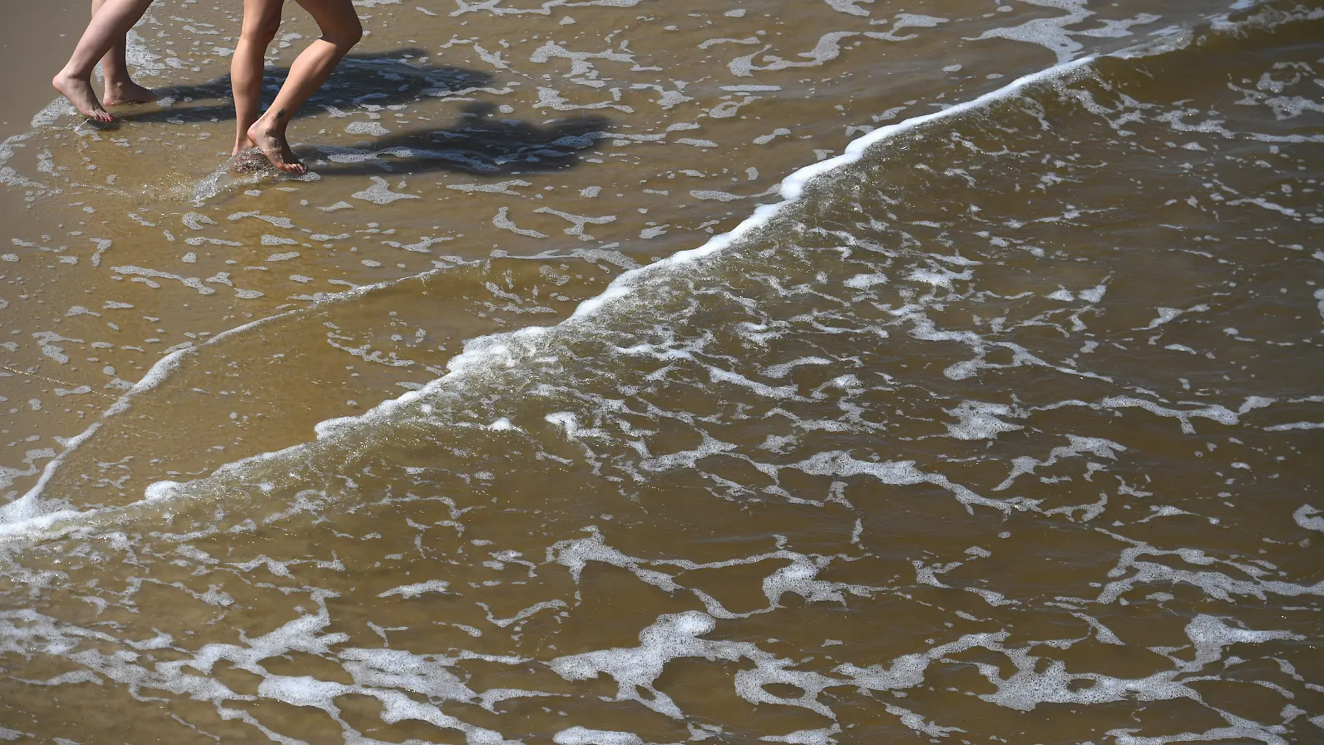 In der Ostsee werden im Sommer regelmäßig Vibrionen nachgewiesen. (zu dpa: «Drei Berliner mit Vibrionen-Infektionen, ein Todesfall») +++ dpa-Bildfunk +++