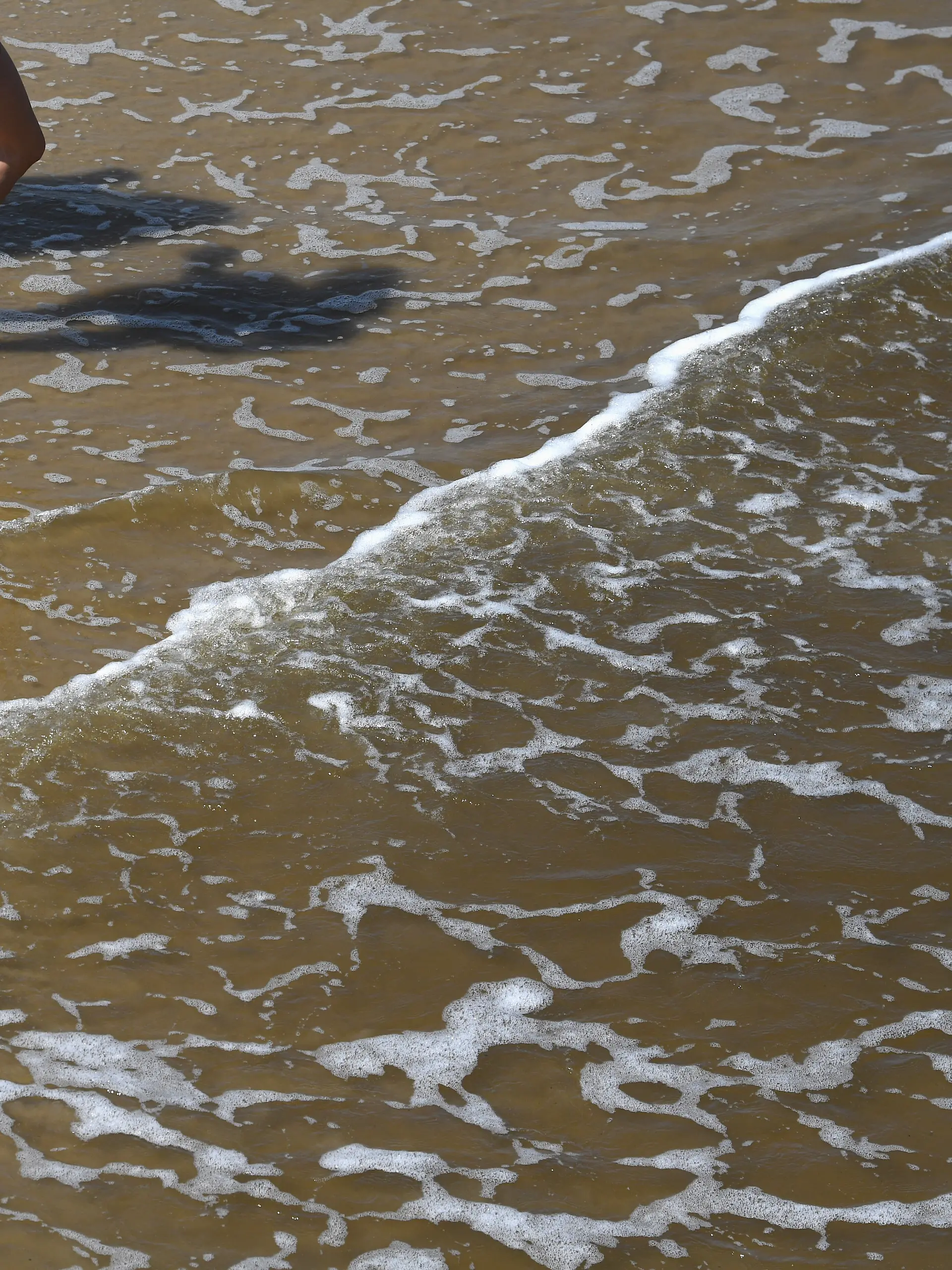 In der Ostsee werden im Sommer regelmäßig Vibrionen nachgewiesen. (zu dpa: «Drei Berliner mit Vibrionen-Infektionen, ein Todesfall») +++ dpa-Bildfunk +++