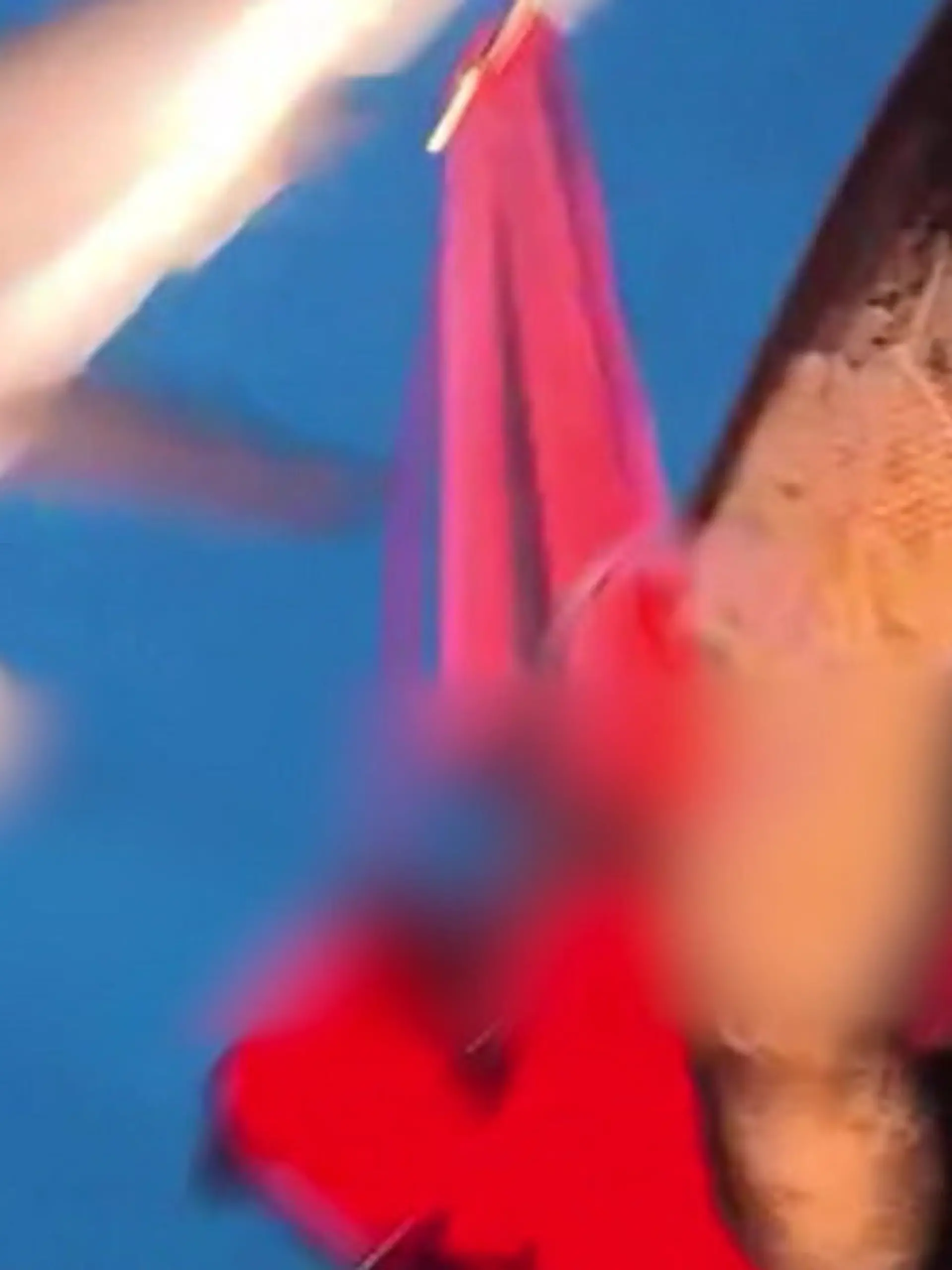 Bild zu: "Hai schießt auf Taucher zu – und verbeißt sich in dessen Bein!"