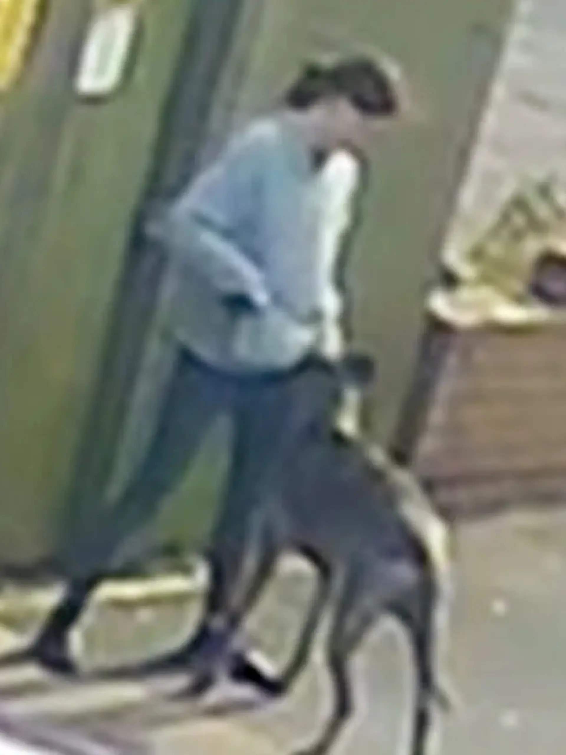 Der gefährliche Hund und seine Halterin 