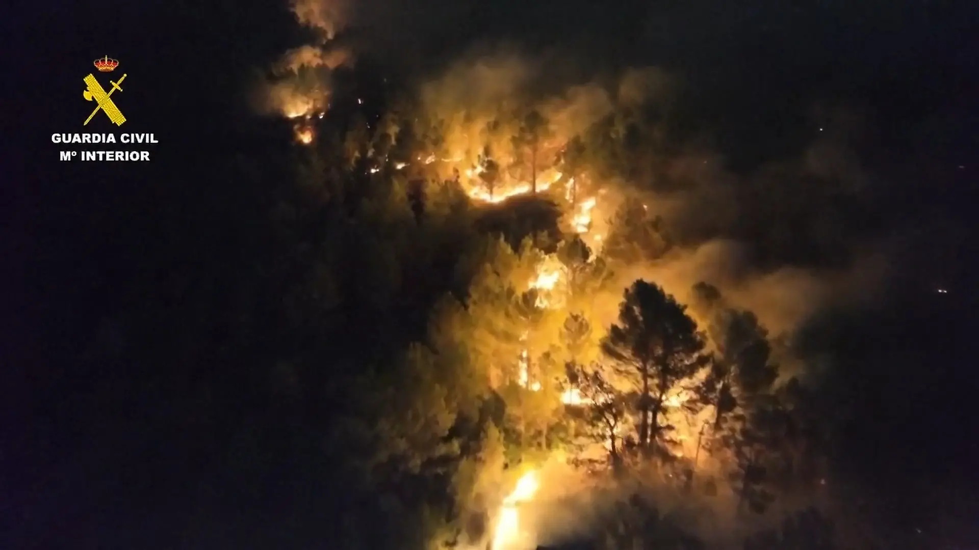 Feuerwehr aus NRW im Einsatz Kampf gegen Flammen