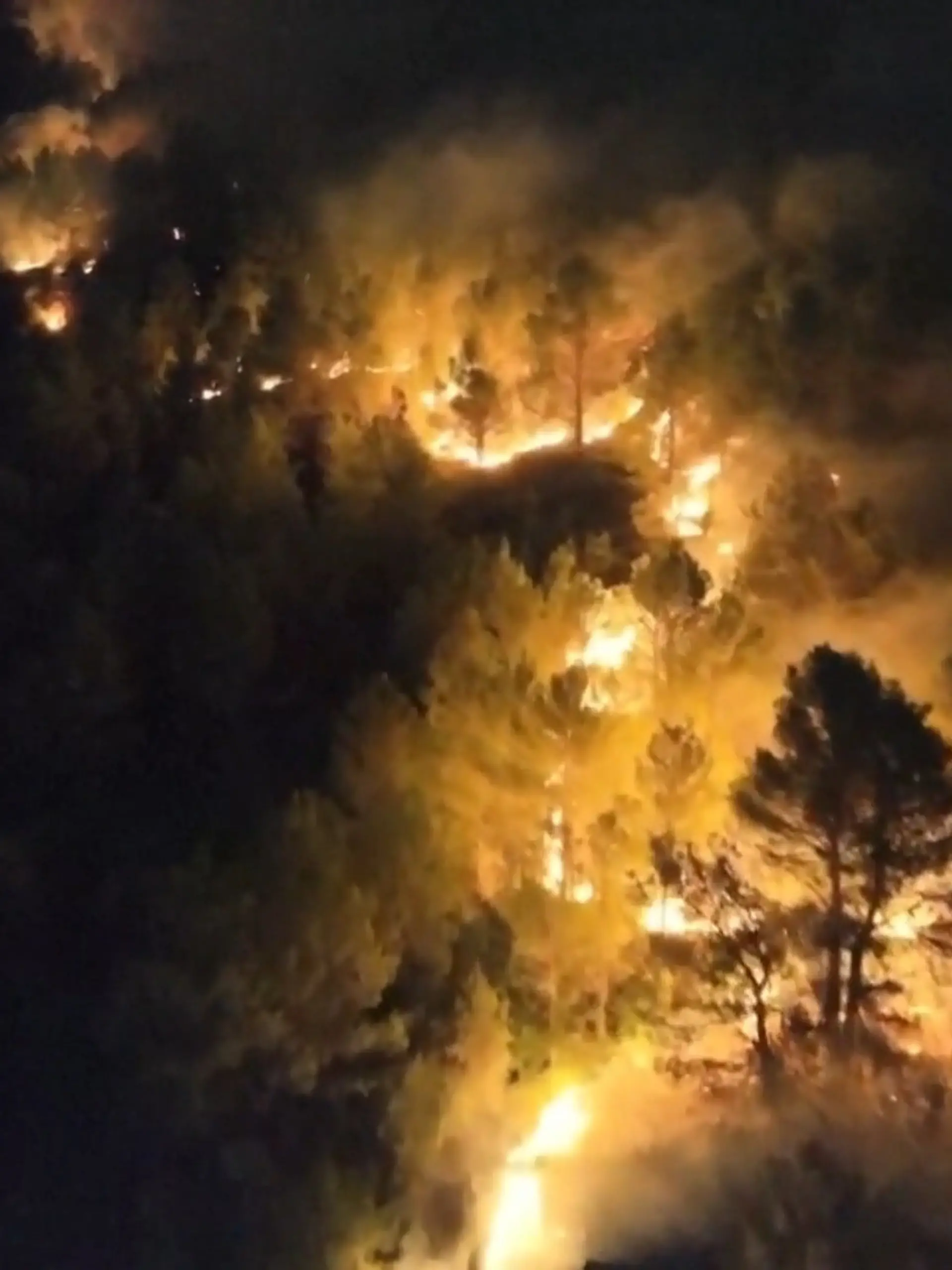 Bild zu: "Feuerwehr aus NRW im Einsatz"
