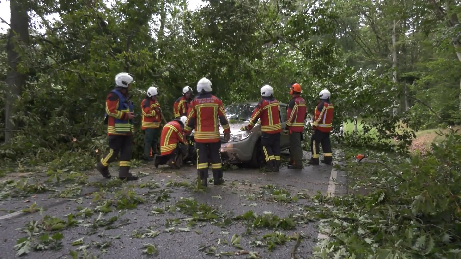 14-Jährige filmt, wie ein Baum während der Fahrt aufs Auto stürzt Heftige Unwetter über Deutschland