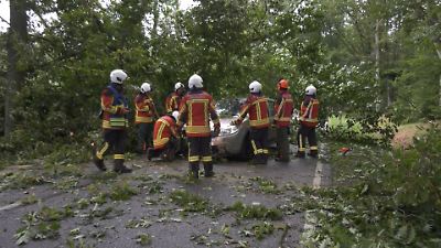 Bild von 14-Jährige filmt, wie ein Baum während der Fahrt aufs Auto stürzt