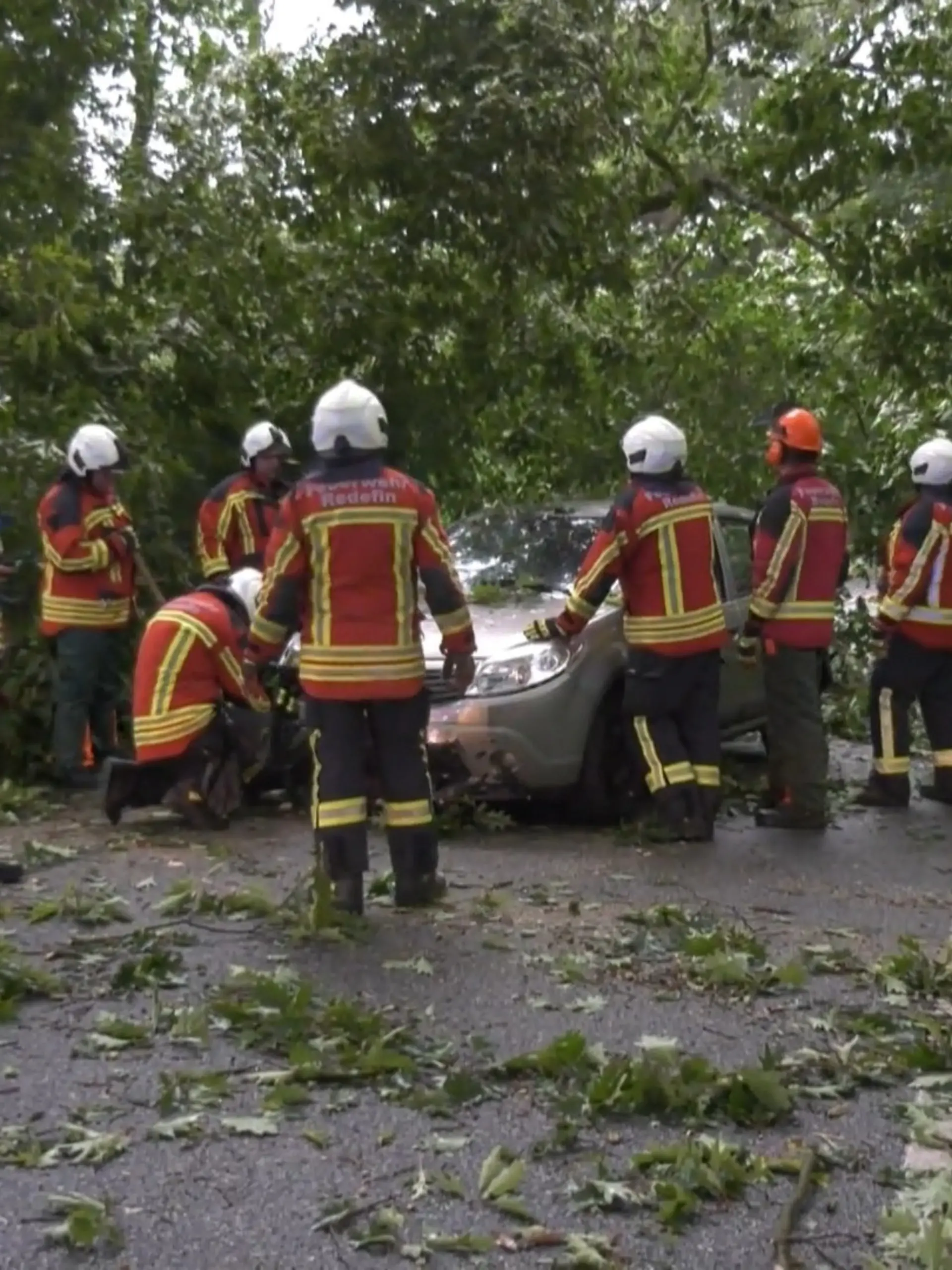 Bild zu: "14-Jährige filmt, wie ein Baum während der Fahrt aufs Auto stürzt"