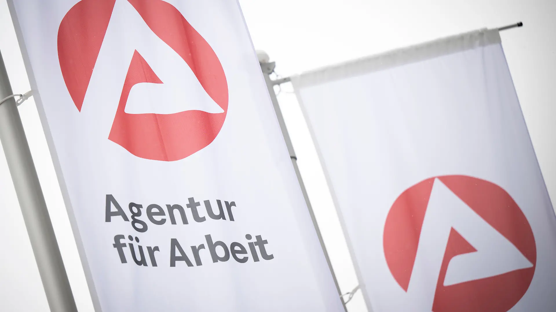 ARCHIV - 30.01.2026, Mecklenburg-Vorpommern, Schwerin: Fahnen mit dem Logo der Agentur für Arbeit wehen im Wind. Arbeitsagentur legt Arbeitsmarktzahlen in Mecklenburg-Vorpommern vor. (zu dpa: «Mehr Arbeitslose in Rheinland-Pfalz - vor allem Junge») Foto: Philip Dulian/dpa +++ dpa-Bildfunk +++