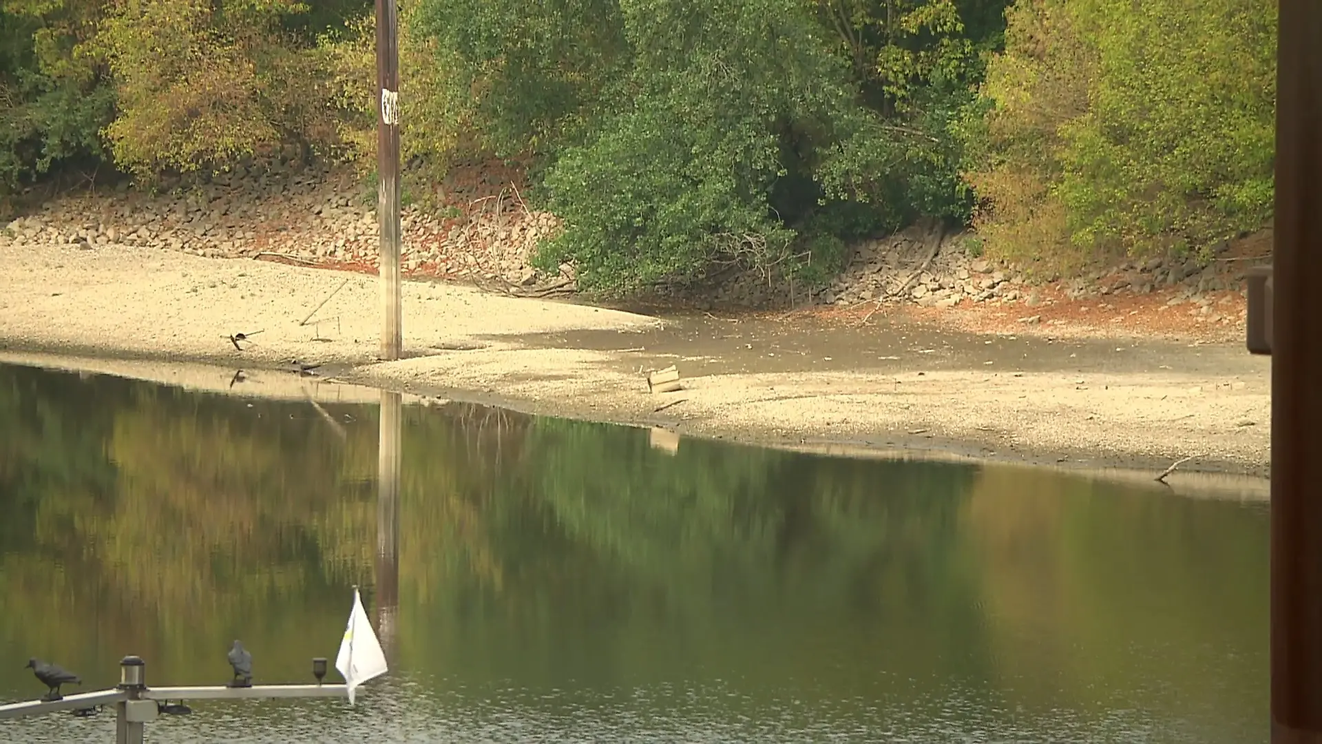 Niedrigwasser auf dem Rhein Schiffe können weniger laden