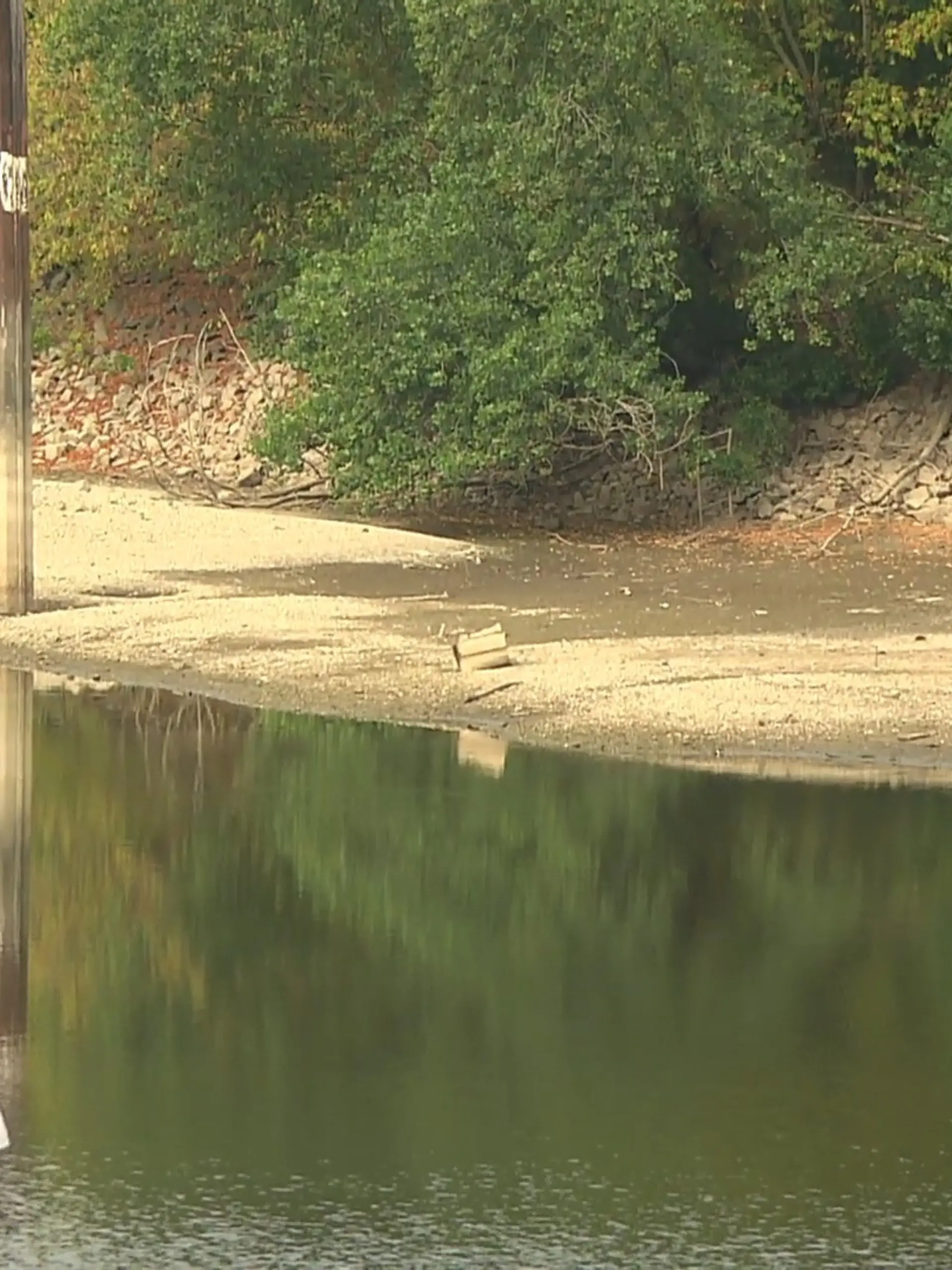 Bild zu: "Niedrigwasser auf dem Rhein"