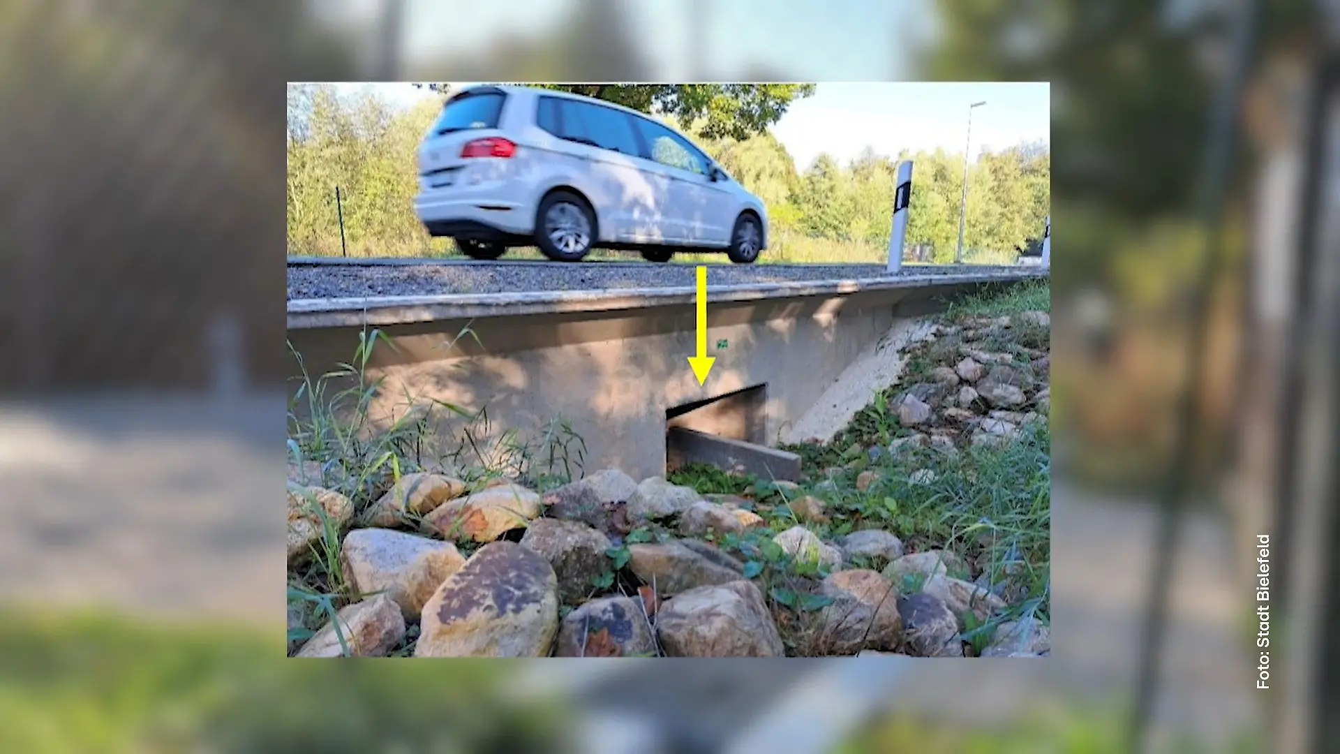 Vollsperrung wegen Amphibientunneln Ärger um Bauprojekt in Bielefeld