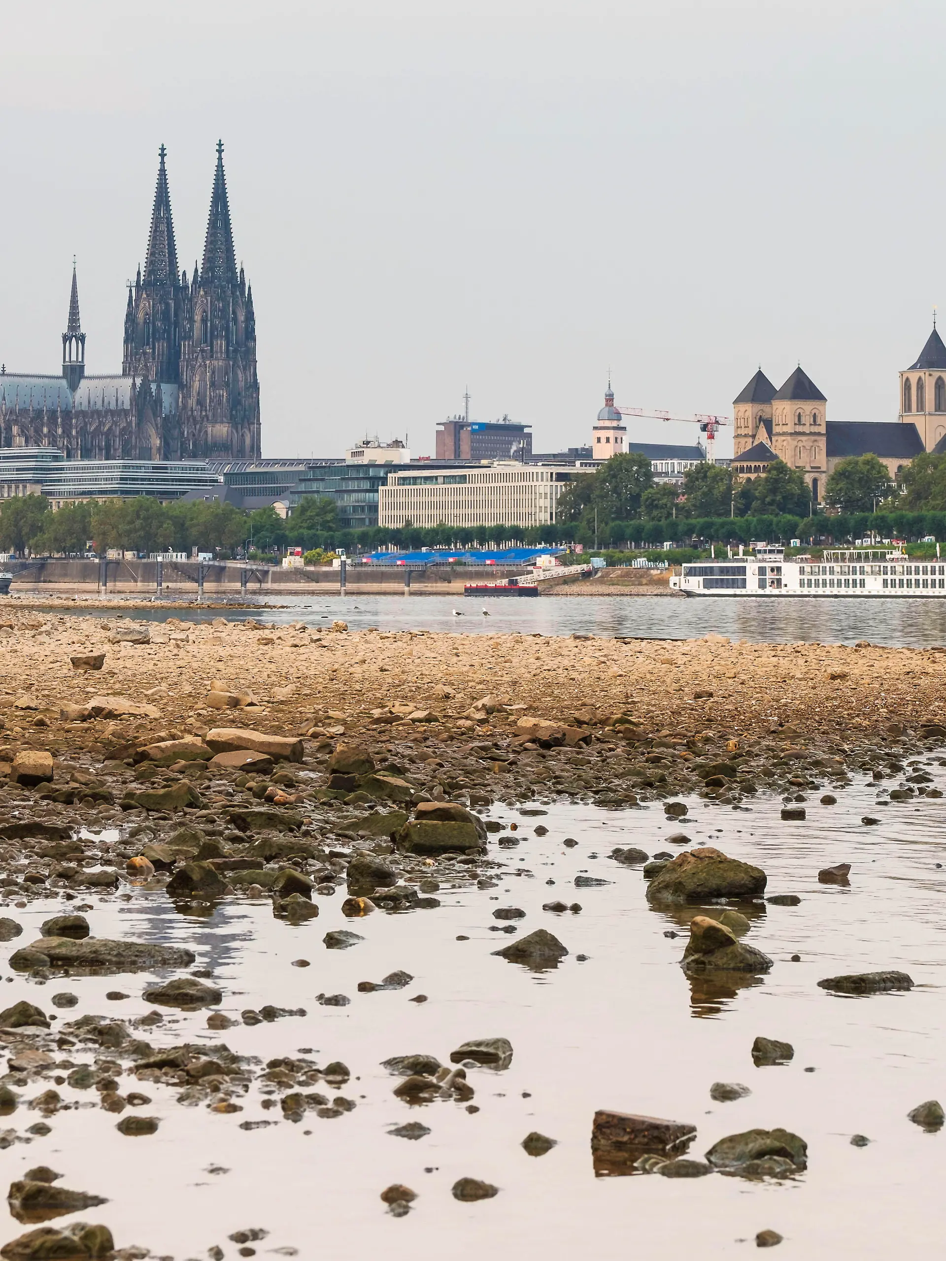 Ein Frachtschiff faehrt bei Niedrigwasser mit geringer Ladung ueber den Rhein am Dom in Koeln vorbei (Foto vom 31.08.2026). Die Pegelstaende im Rhein grenzen teils an Tiefstwerten. In Koeln wird ein historischer Tiefstand befuerchtet. Das Niedrigwasser hat massive Auswirkungen auf die Schifffahrt. Gueterschiffe muessen ihre Ladung teils um mehr als die Haelfte reduzieren, Personenfahrten fallen teilweise aus.