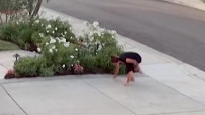 Bild von Klapperschlange beißt Linda in den Fuß – dann beginnt ihr Wettlauf gegen das tödliche Gift