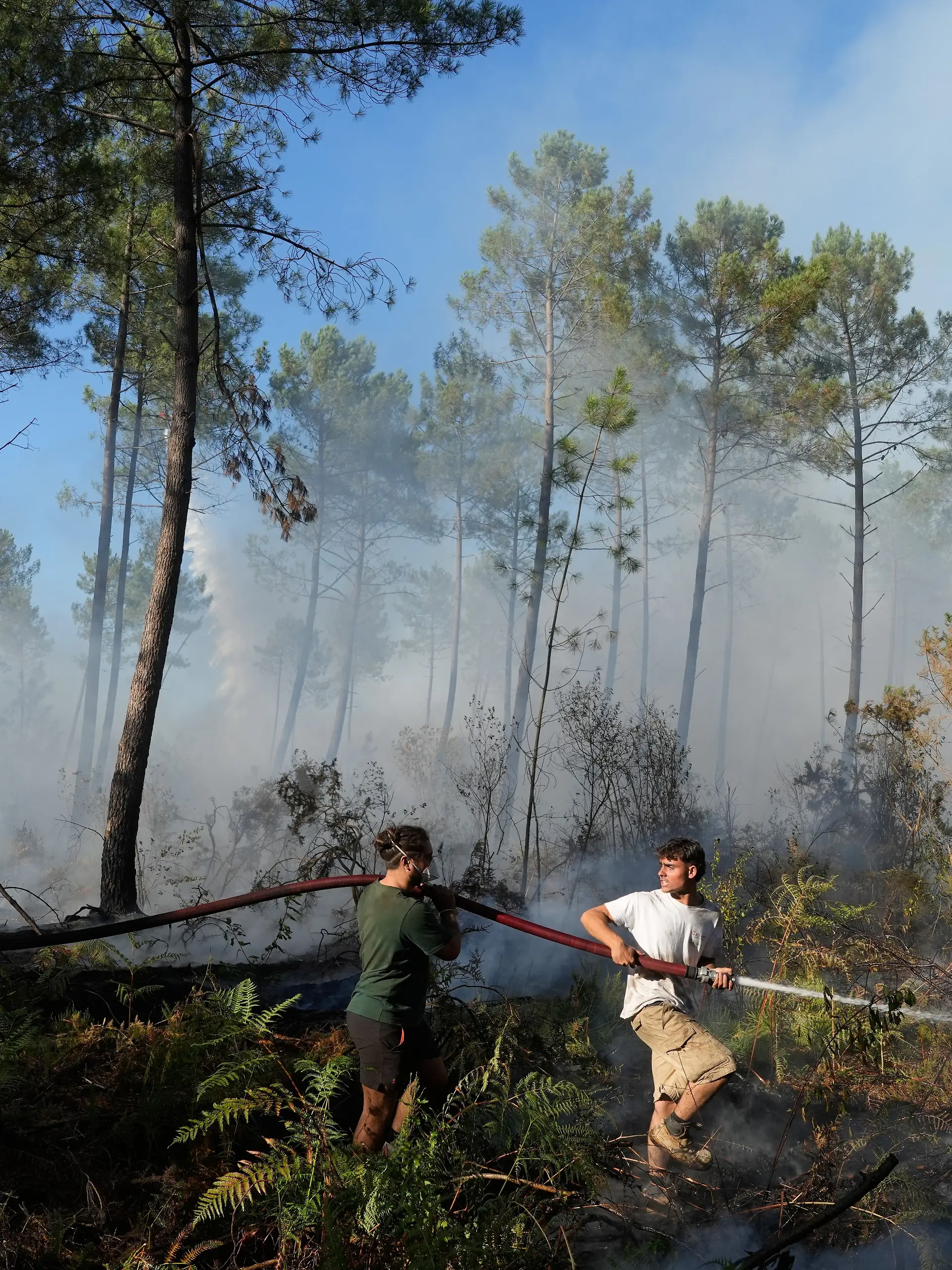 A group hold a firehose and try to suppress a fire near Lacanau, as wildfires rage outside Bordeaux, France, Monday, July 27, 2026. (AP Photo/Baz Ratner)