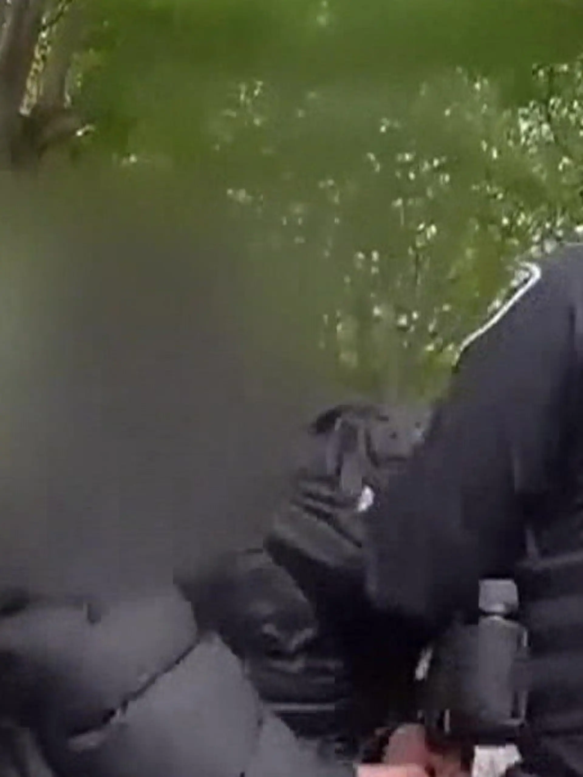 Bild zu: "Drei Tote nach Schießerei auf Festival! Hier jagt die Polizei die Verdächtigen"