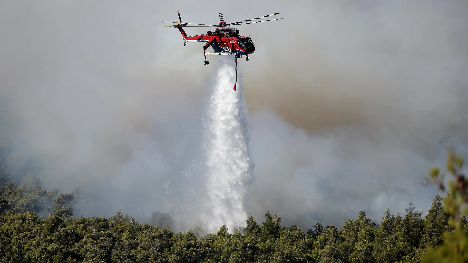 Waldbrand nahe des Dorfes Agios Nektarios