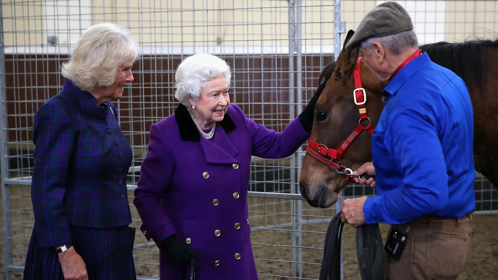 Die heutige Königin Camilla und Queen Elizabeth II. bei einem Treffen mit Monty Roberts in den königlichen Ställen 2015 (Archivbild)