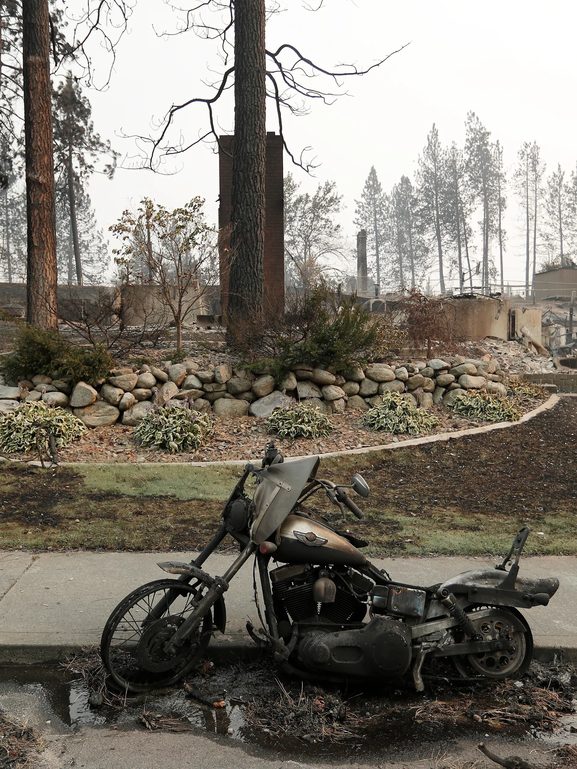 Ein durch einen Waldbrand zerstörtes Motorrad steht in Spokane, Washington. +++ dpa-Bildfunk +++