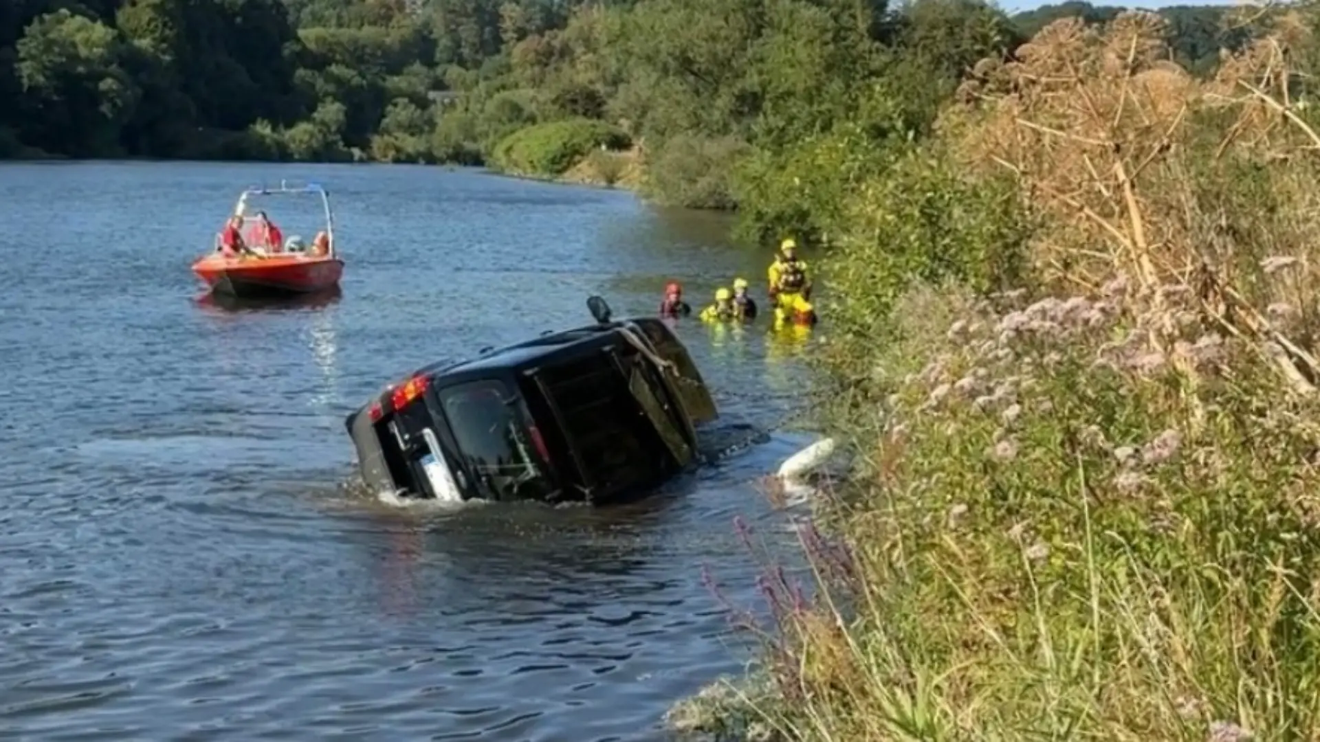 Helfer von DLRG und Feuerwehrleute versuchen vergeblich, die Hunde zu retten