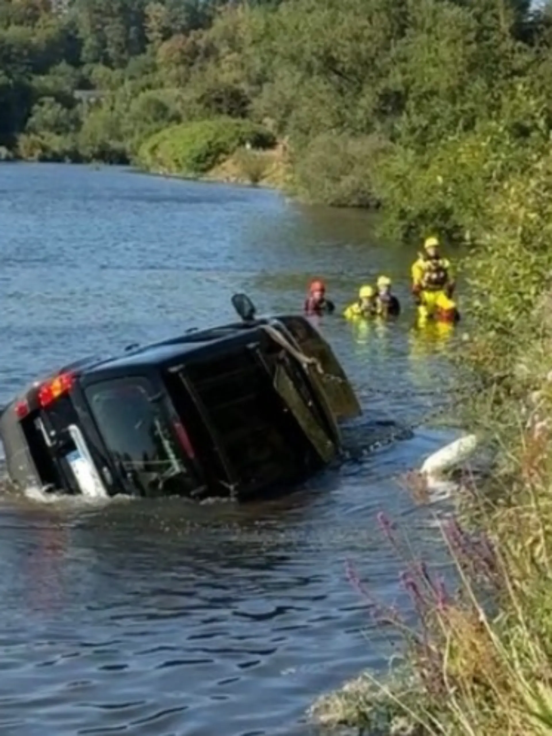 Helfer von DLRG und Feuerwehrleute versuchen vergeblich, die Hunde zu retten