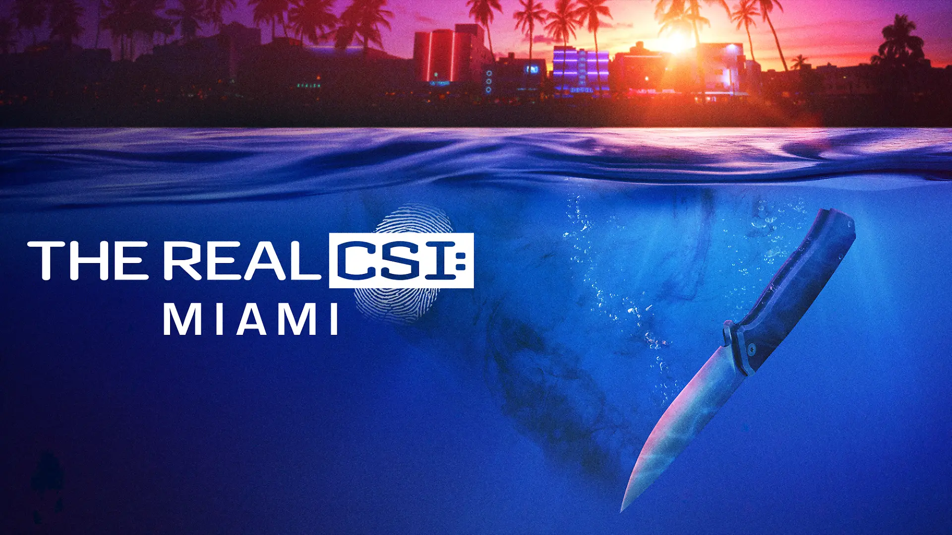 The Real CSI Miami.jpg