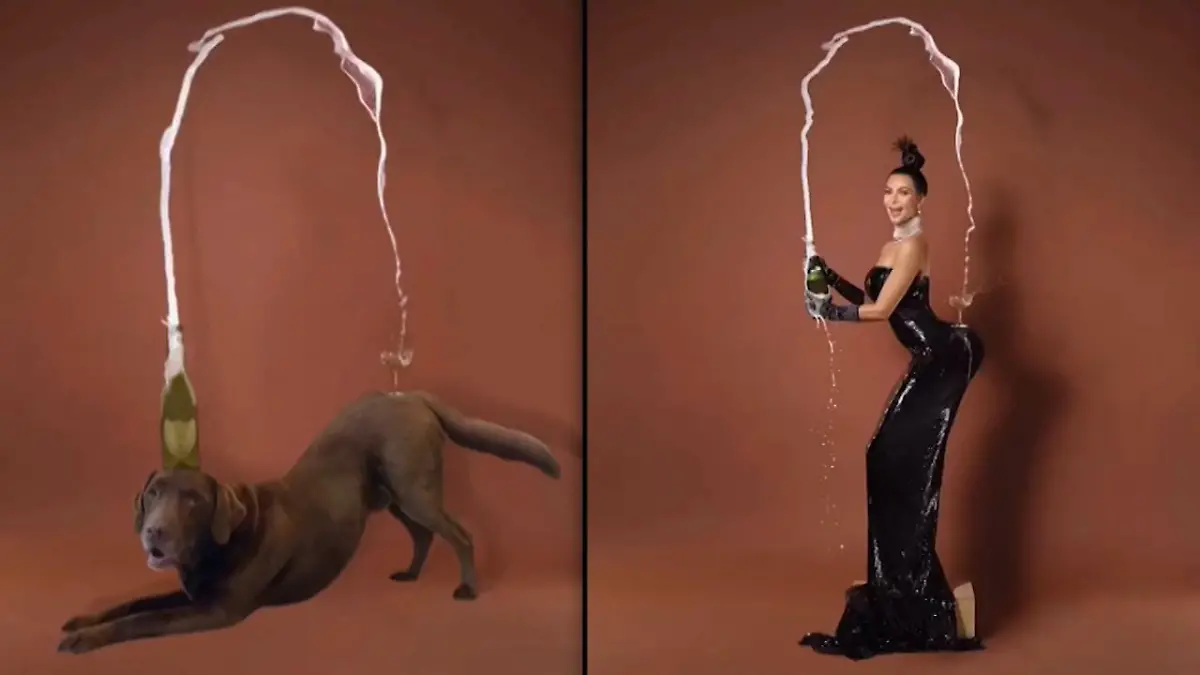 Hund stellt berühmtes Kim Kardashian Cover nach Foto-Nachbildung auf TikTok