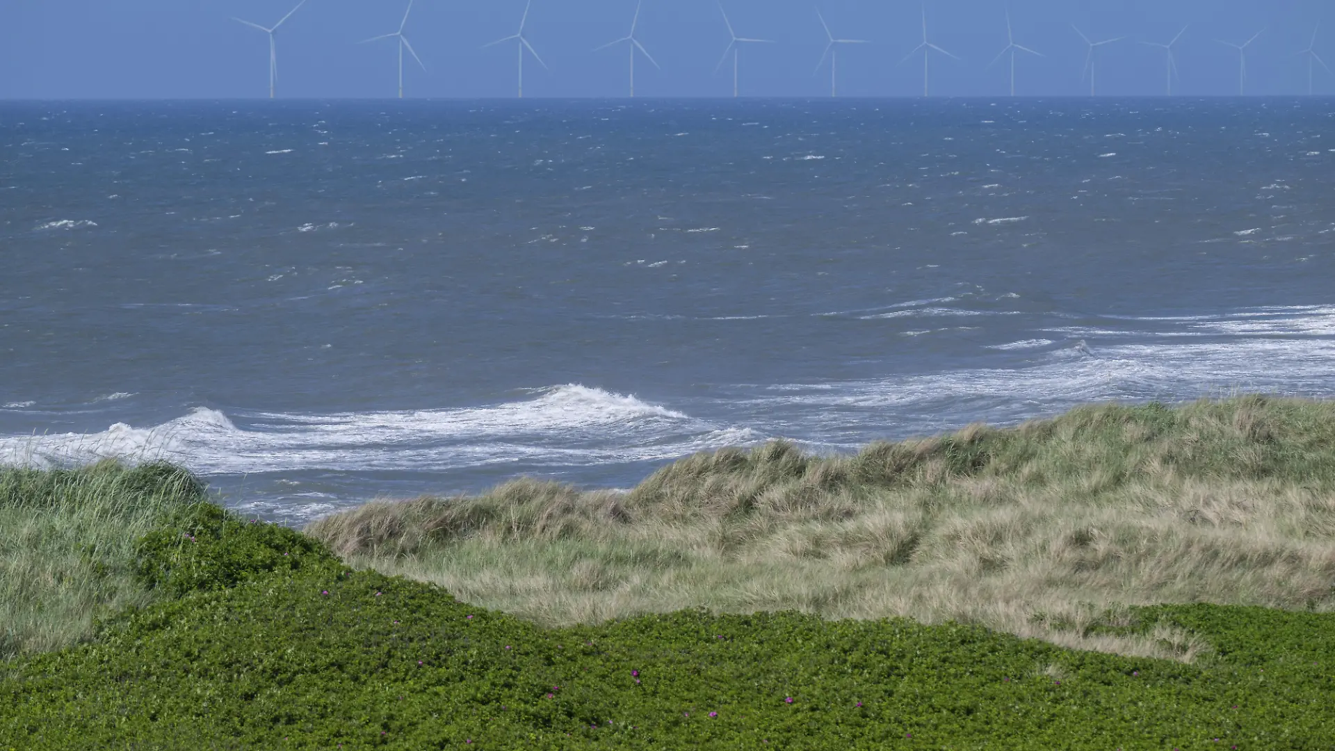 Ein Urlaub an der dänischen Nordseeküste nimmt ein tragisches Ende. Ein 85 Jahre alter Deutscher kommt beim Schwimmen ums Leben. (Symbolbild)