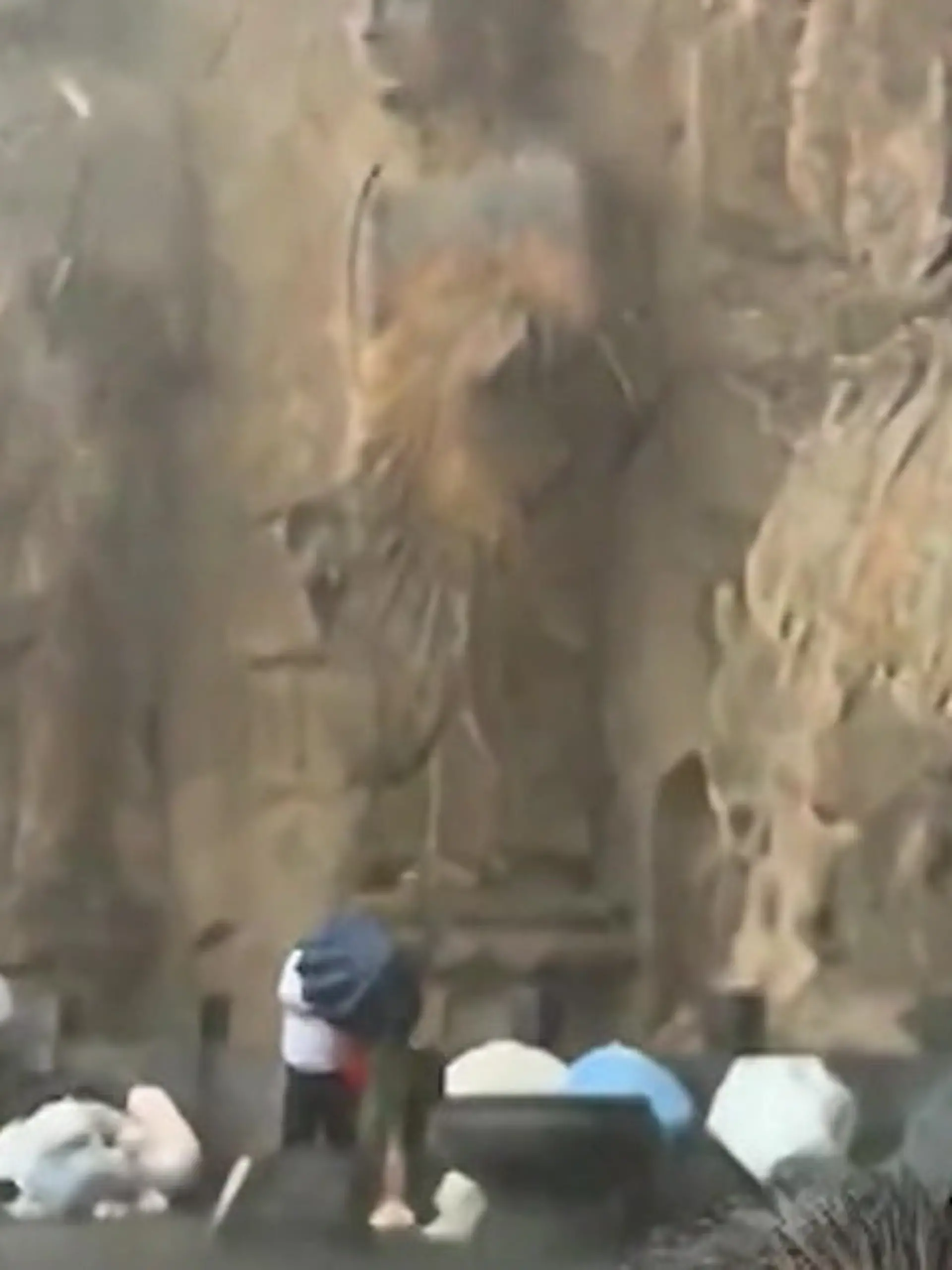 Bild zu: "Horror-Unwetter flutet UNESCO-Weltkulturerbe! Touristen flüchten unter Buddha-Statuen"