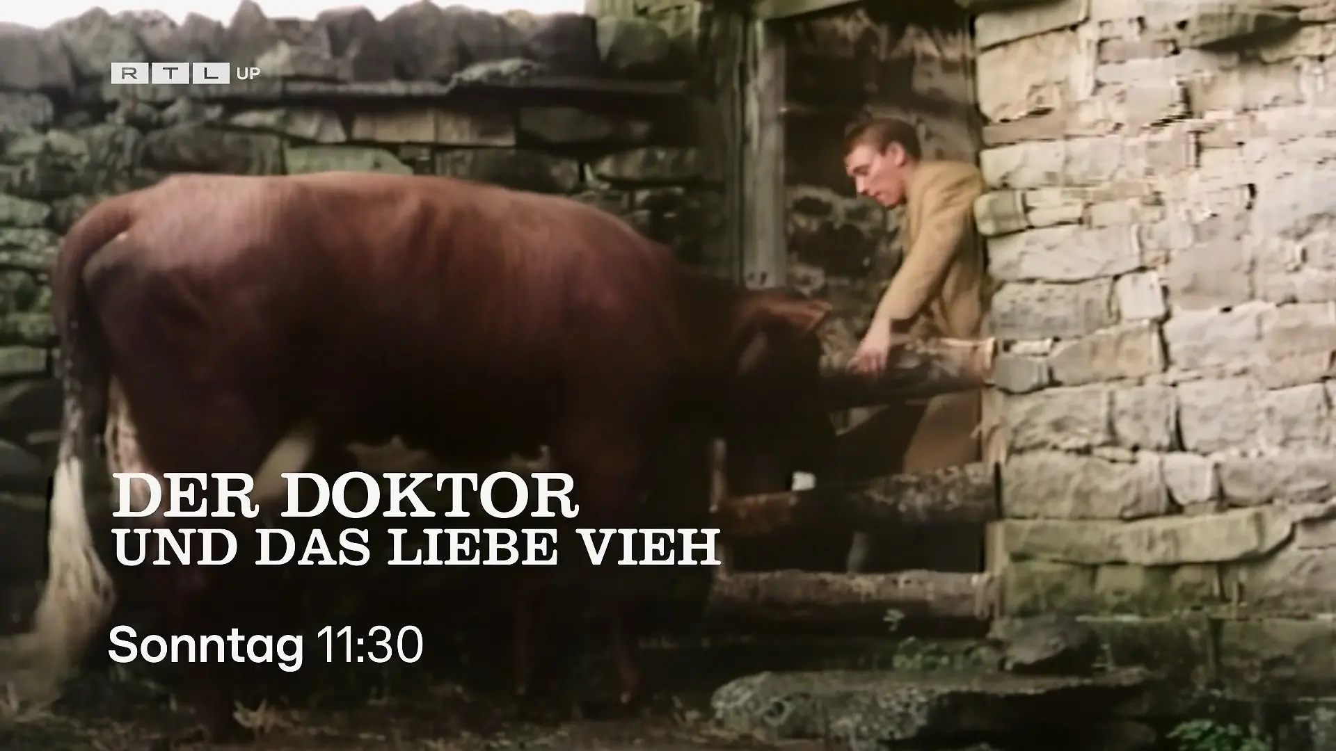 Der Doktor und das liebe Vieh - Trailer Jeden Sonntag, ab 08:30 Uhr