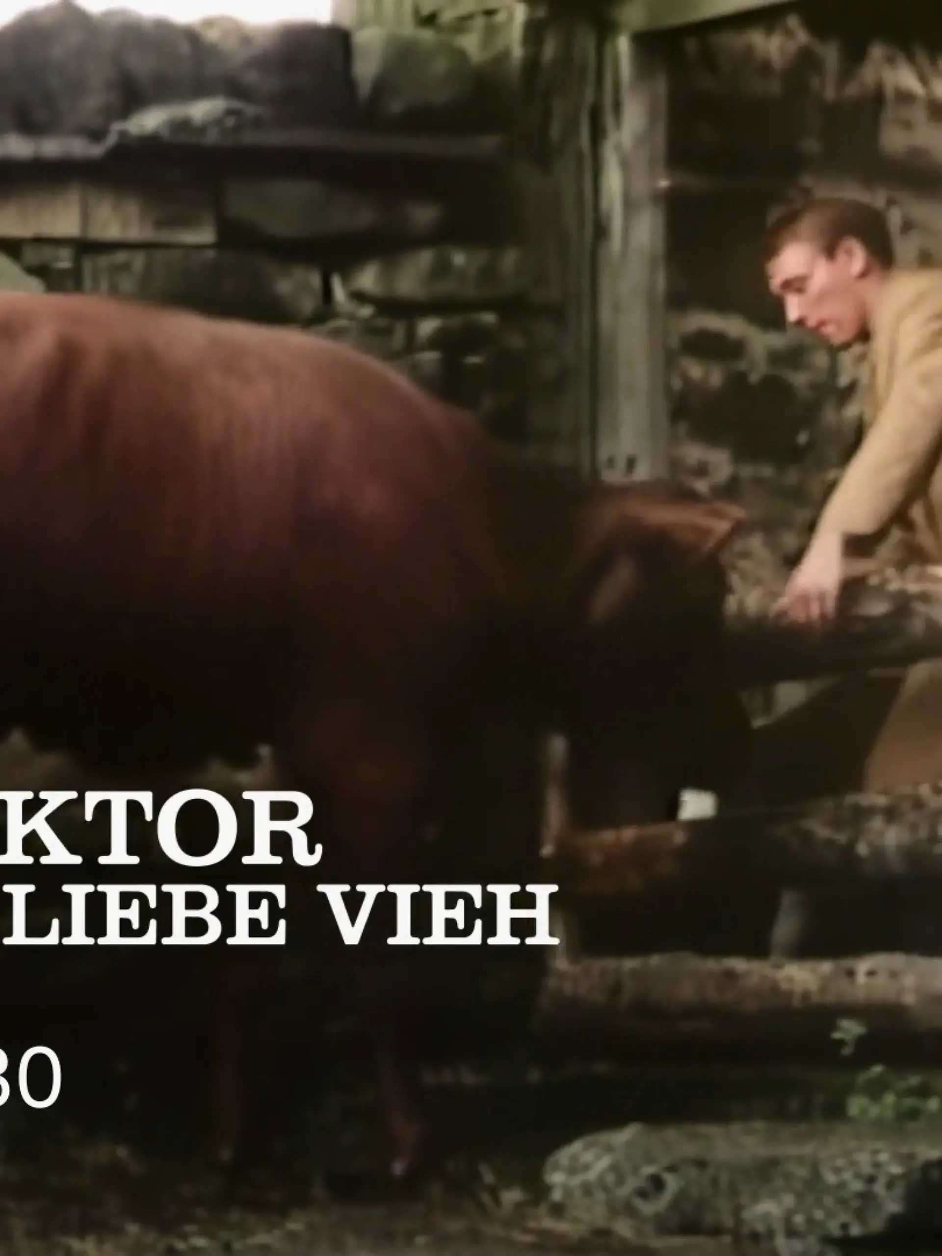 Bild zu: "Der Doktor und das liebe Vieh - Trailer"
