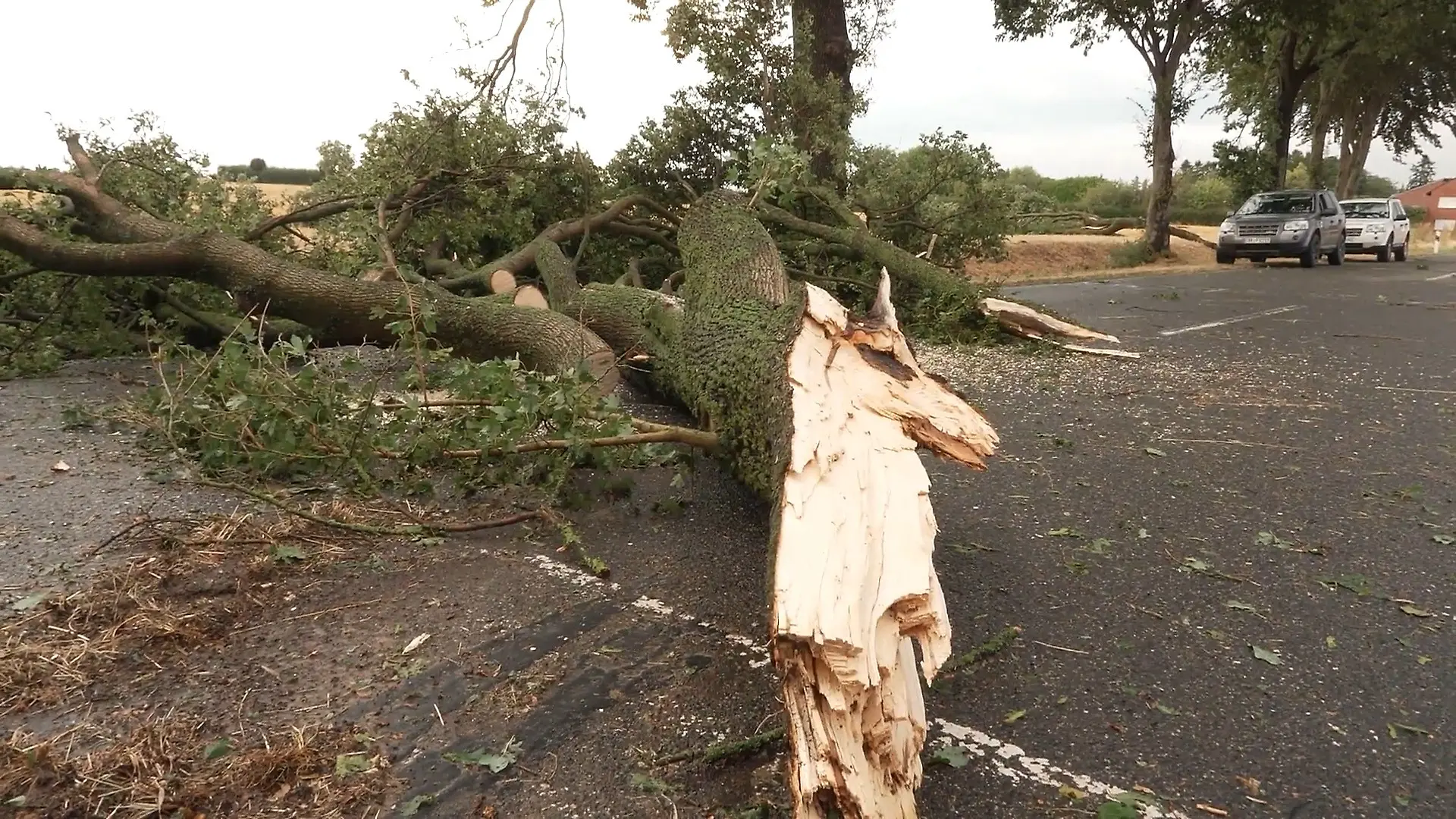 Schäden nach Unwetter über NRW Auch Bahnverkehr betroffen!