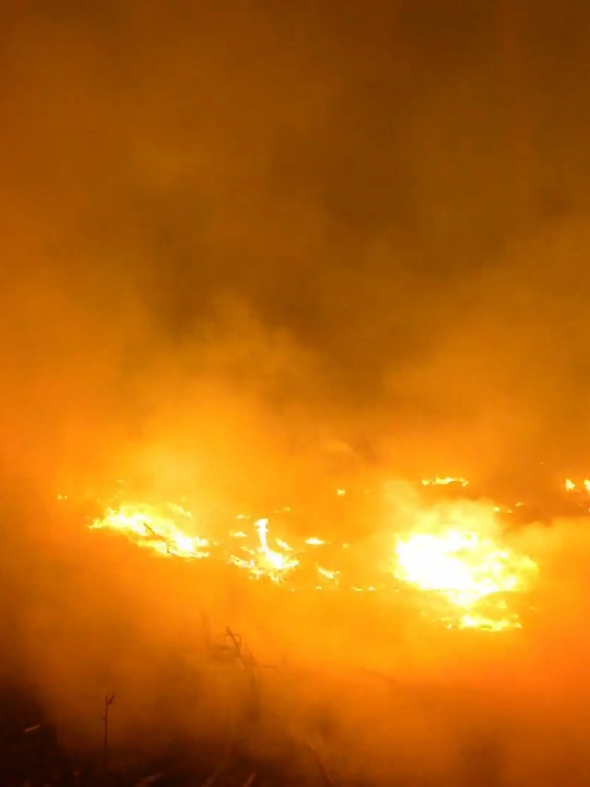 Bild zu: "Waldbrand in den Niederlanden immer extremer"