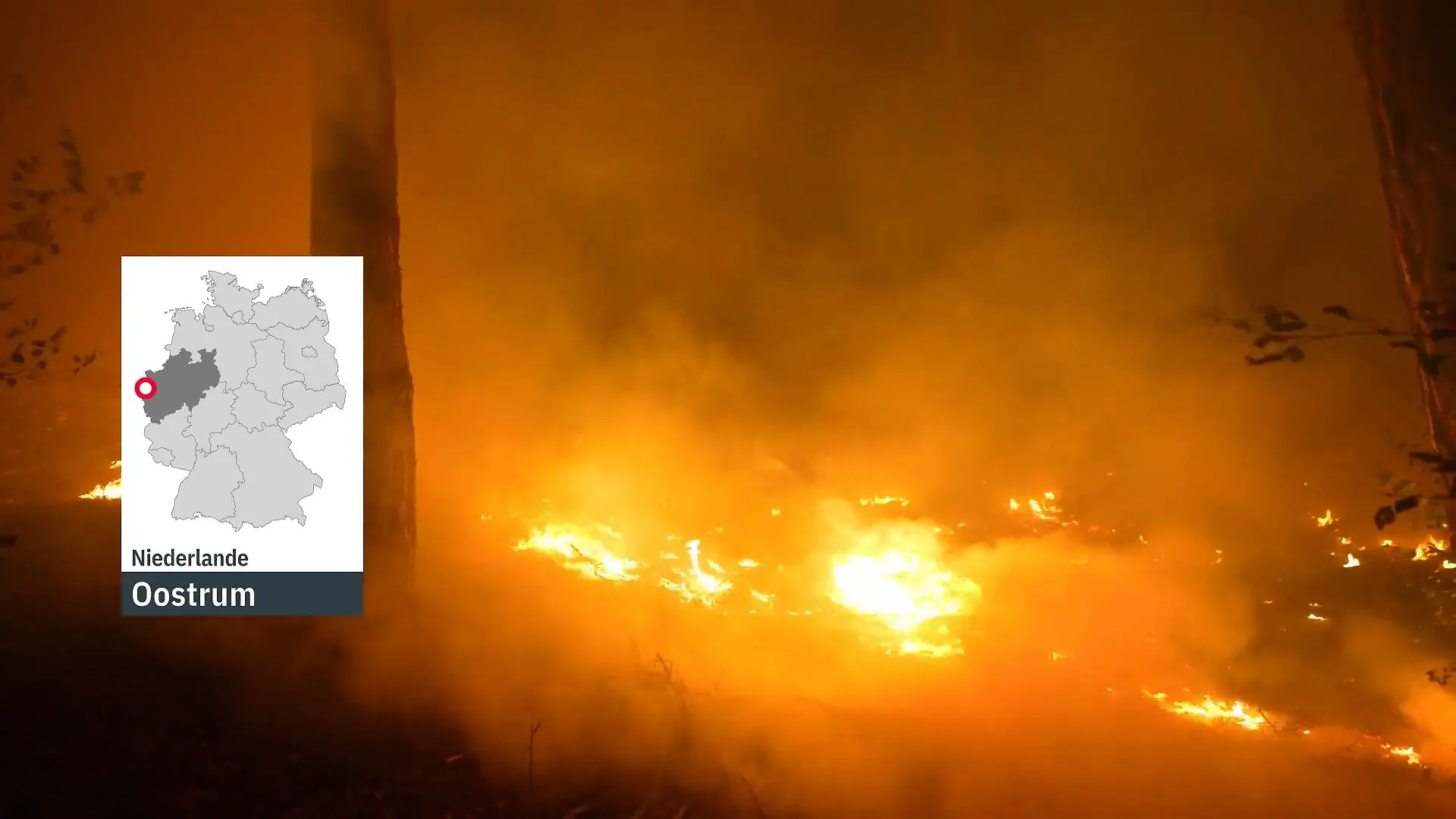 Riesiger Waldbrand direkt an deutscher Grenze! DAS erschwert die Löscharbeiten Feuerwehr im Dauereinsatz