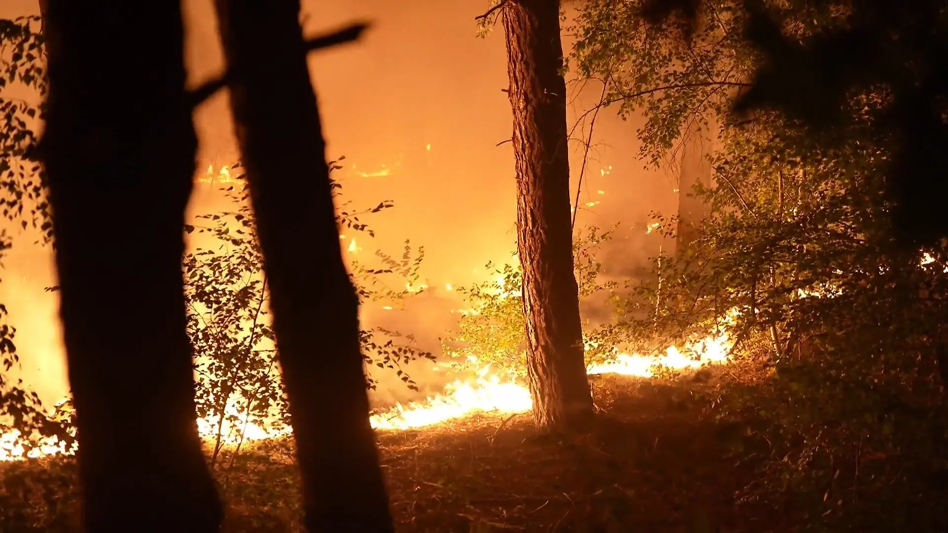 Riesiger Waldbrand direkt an deutscher Grenze! DAS erschwert die Löscharbeiten Feuerwehr im Dauereinsatz