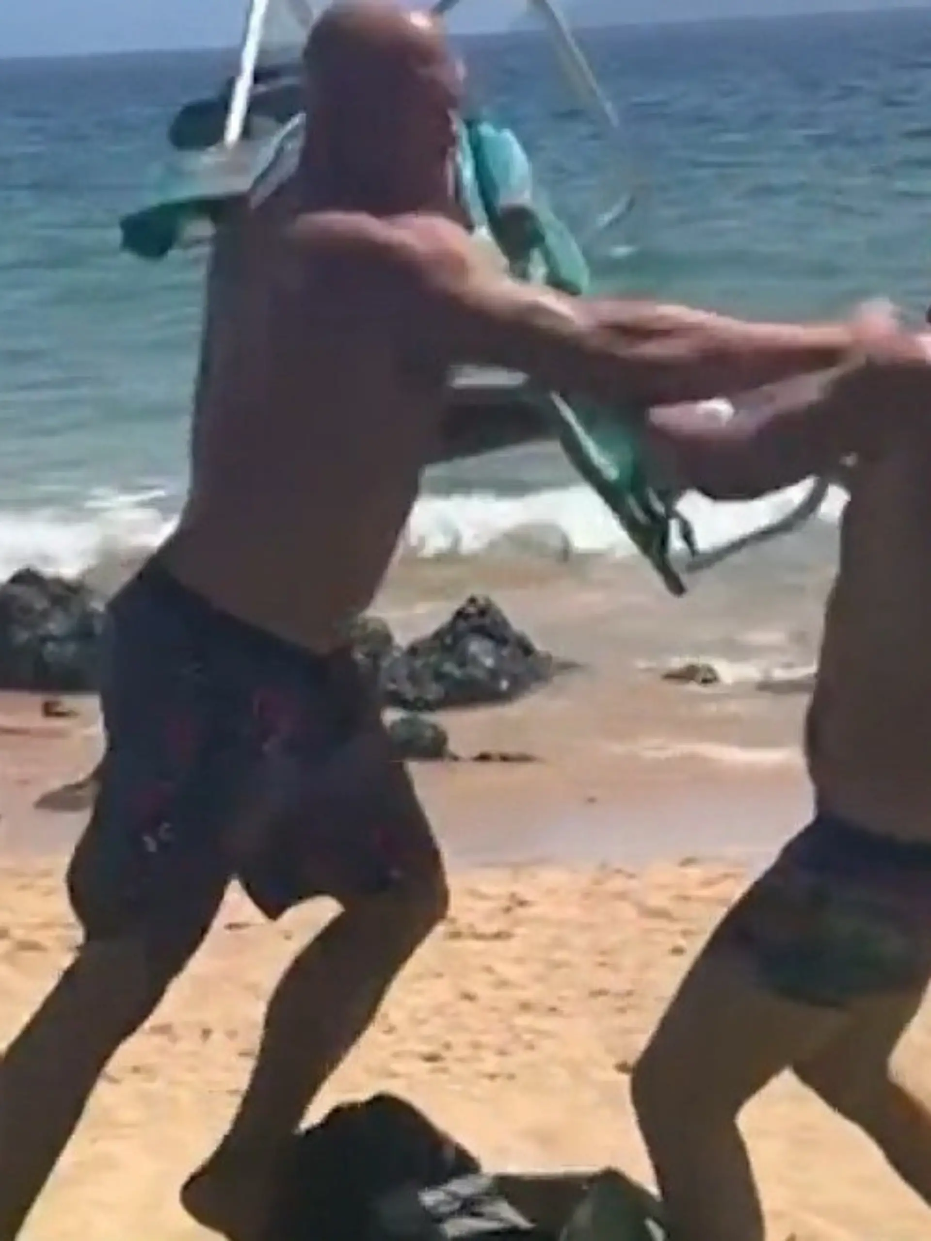 Bild zu: "Politiker attackiert Strandbesucher – mit einem Liegestuhl!"