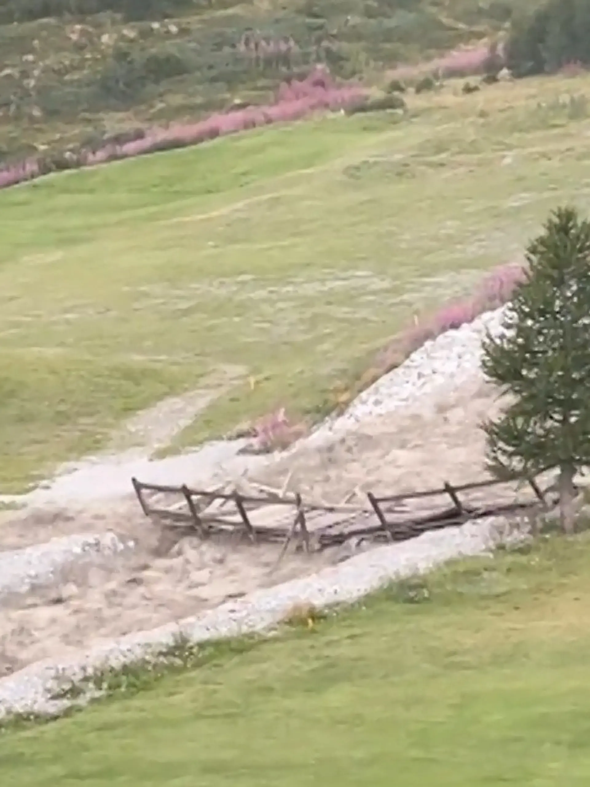 Bild zu: "Naturgewalt am Matterhorn! Sturzflut reißt Brücke mit "