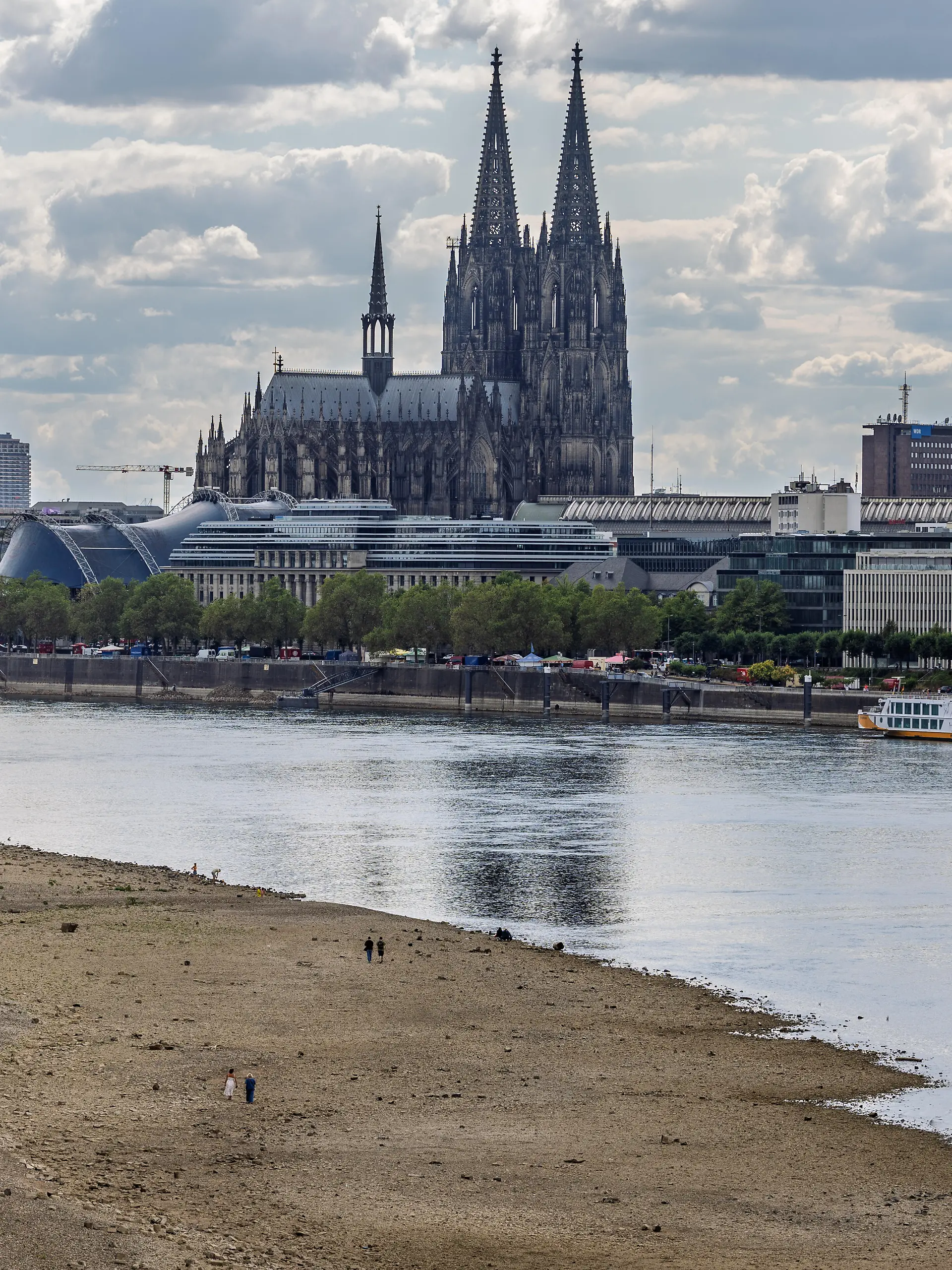 Blick von der Zoobrücke in Köln auf das ausgetrocknete Flussbett des Rheins, im Hintergrund der Kölner Dom. Mit einem Pegelstand von 69 cm am Pegel Köln erreicht das Niedrigwasser den bisherigen historischen Tiefstwert vom 23. Oktober 2018 ein neuer Rekord rückt in greifbare Nähe.