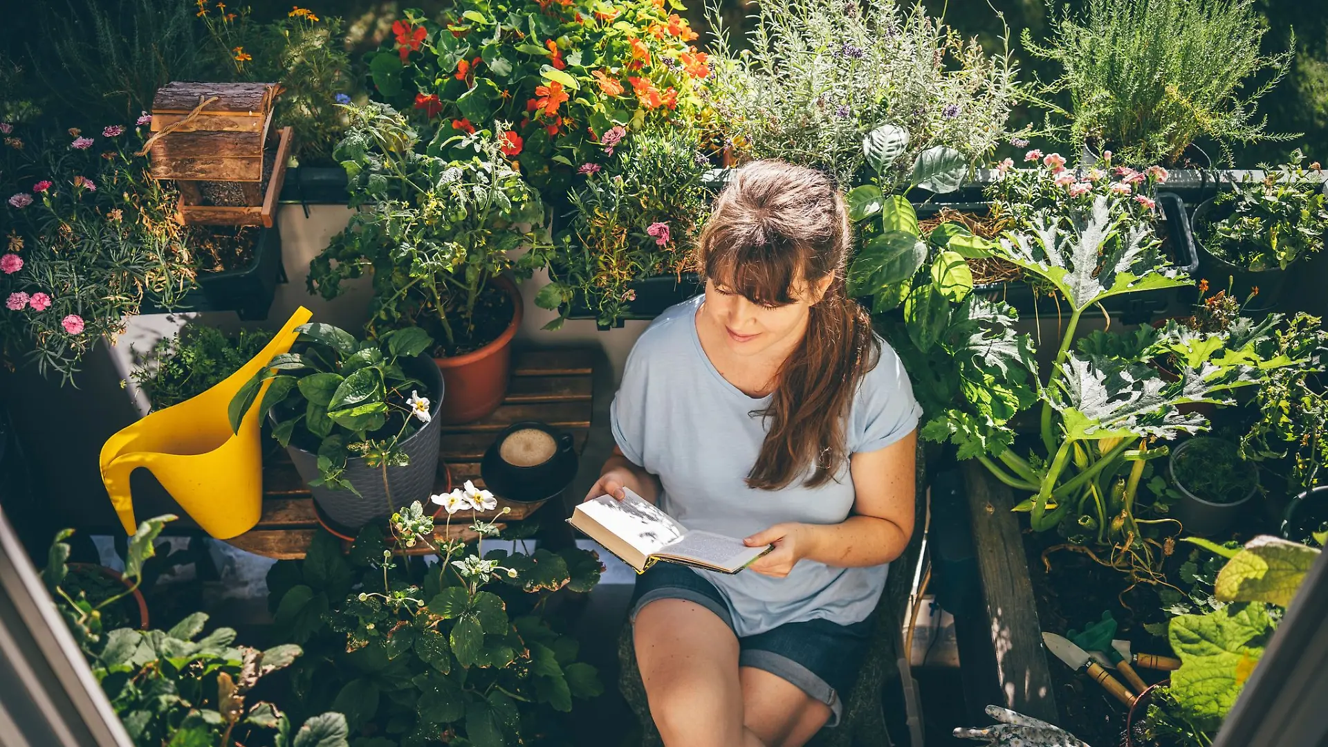 Vor dem Einrichten sollte der eigene Wunsch an den Mini-Balkon definiert werden: Will ich eine grüne Oase, sollten die Pflanzen in Etagen platziert werden.