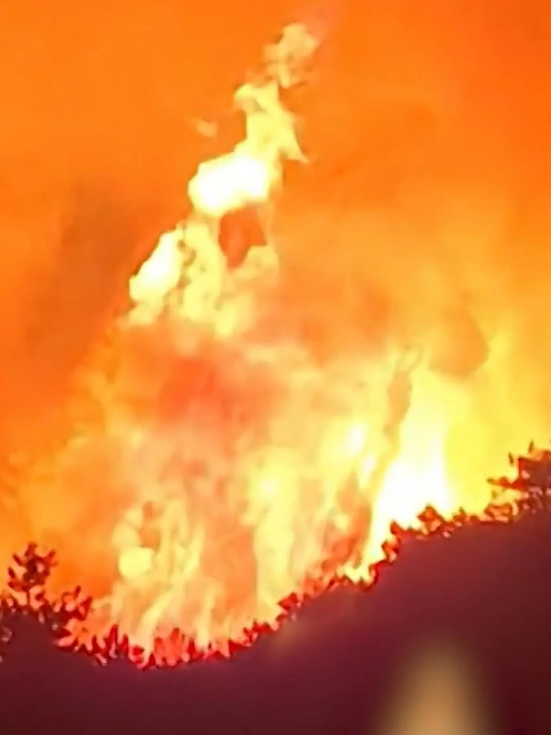 Bild zu: "Feuer-Inferno in Urlaubsregion! Über 200 Menschen evakuiert – „furchterregenden Szenen""