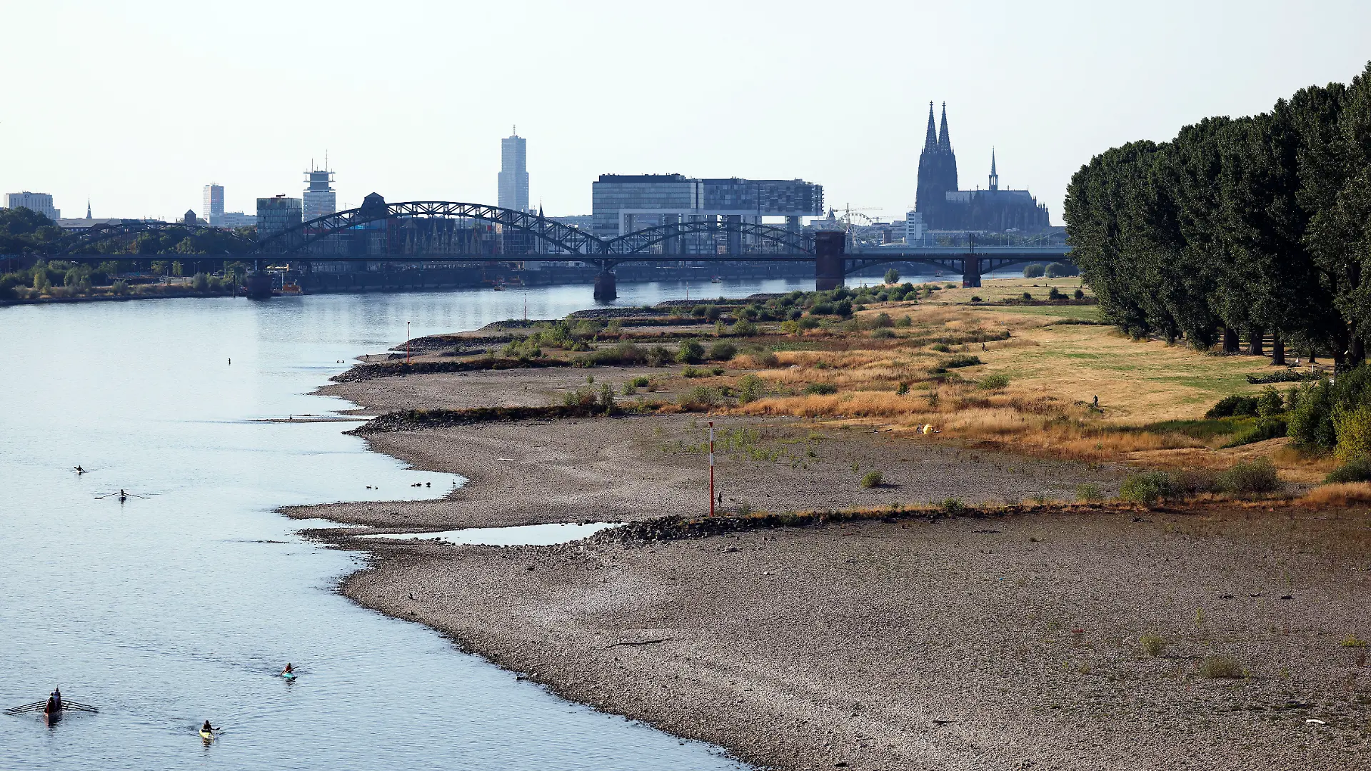 Der Rhein mit Niedrigwasser auf Höhe der trockenen Rheinwiesen bei Köln-Poll. Der Rhein hat sich tief in sein Bett zurückgezogen und gibt den Blick auf trockene Ufer frei. Der Pegel liegt mit 70cm nur knapp unter historischen Tiefstständen. (Themenbild, Symbolbild) Köln, 29.07.2026