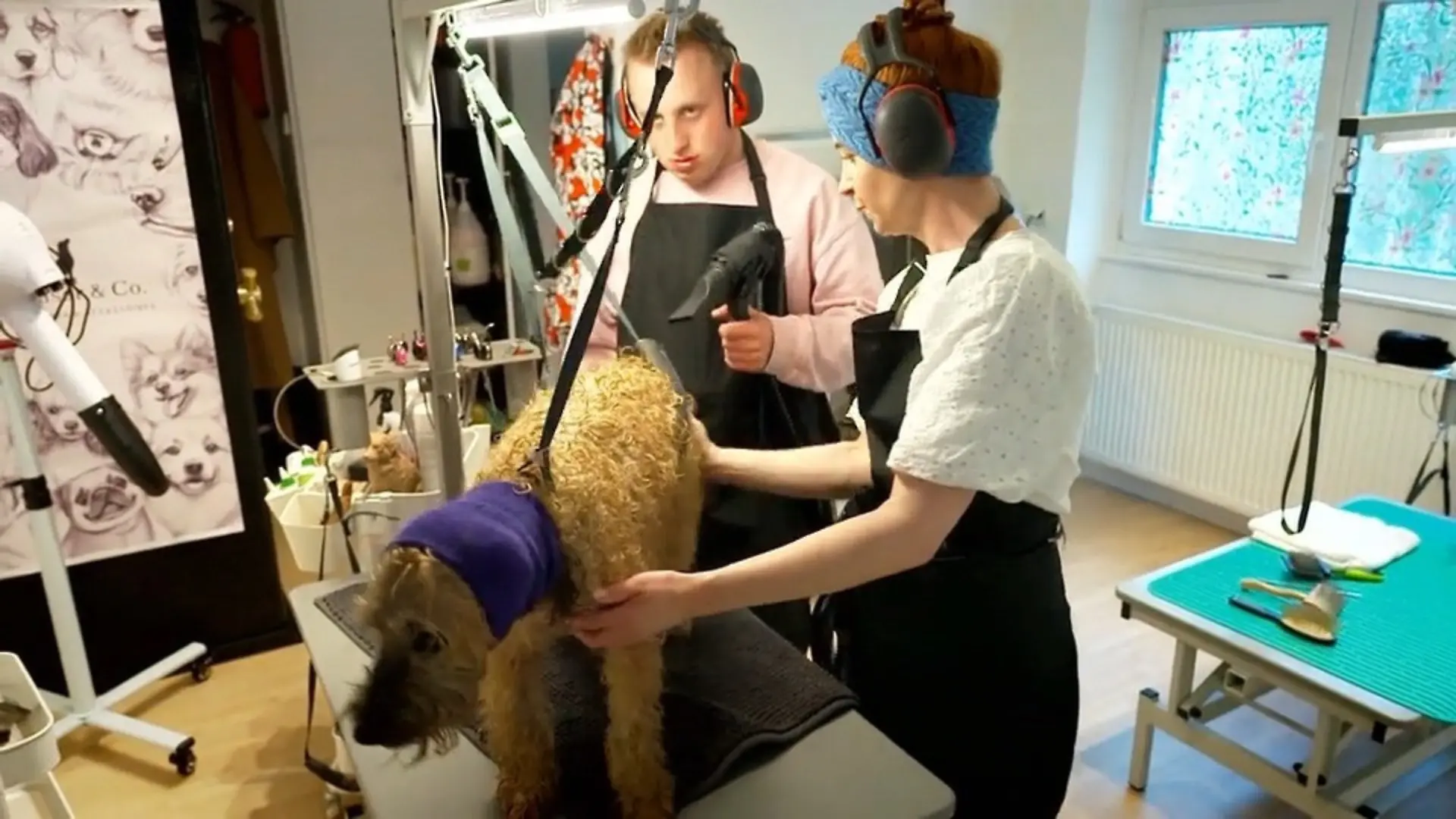 Eltern kündigen Jobs und gründen Salon, damit autistischer Sohn Hundefriseur wird Autist findet im Familienhundesalon Arbeit